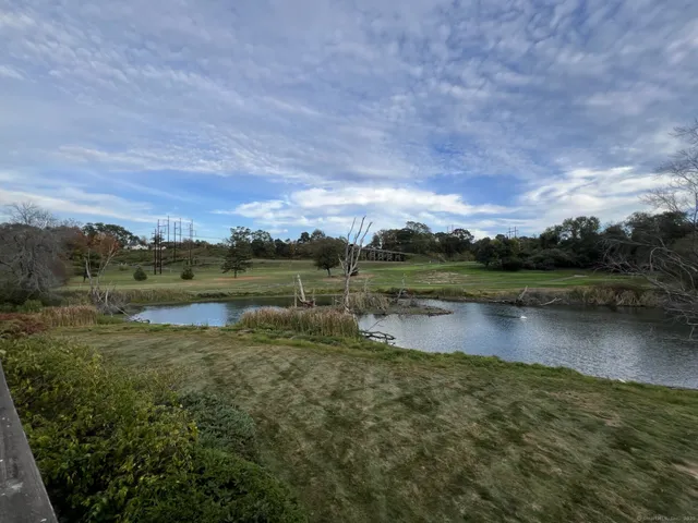 a view of a lake with houses in the back