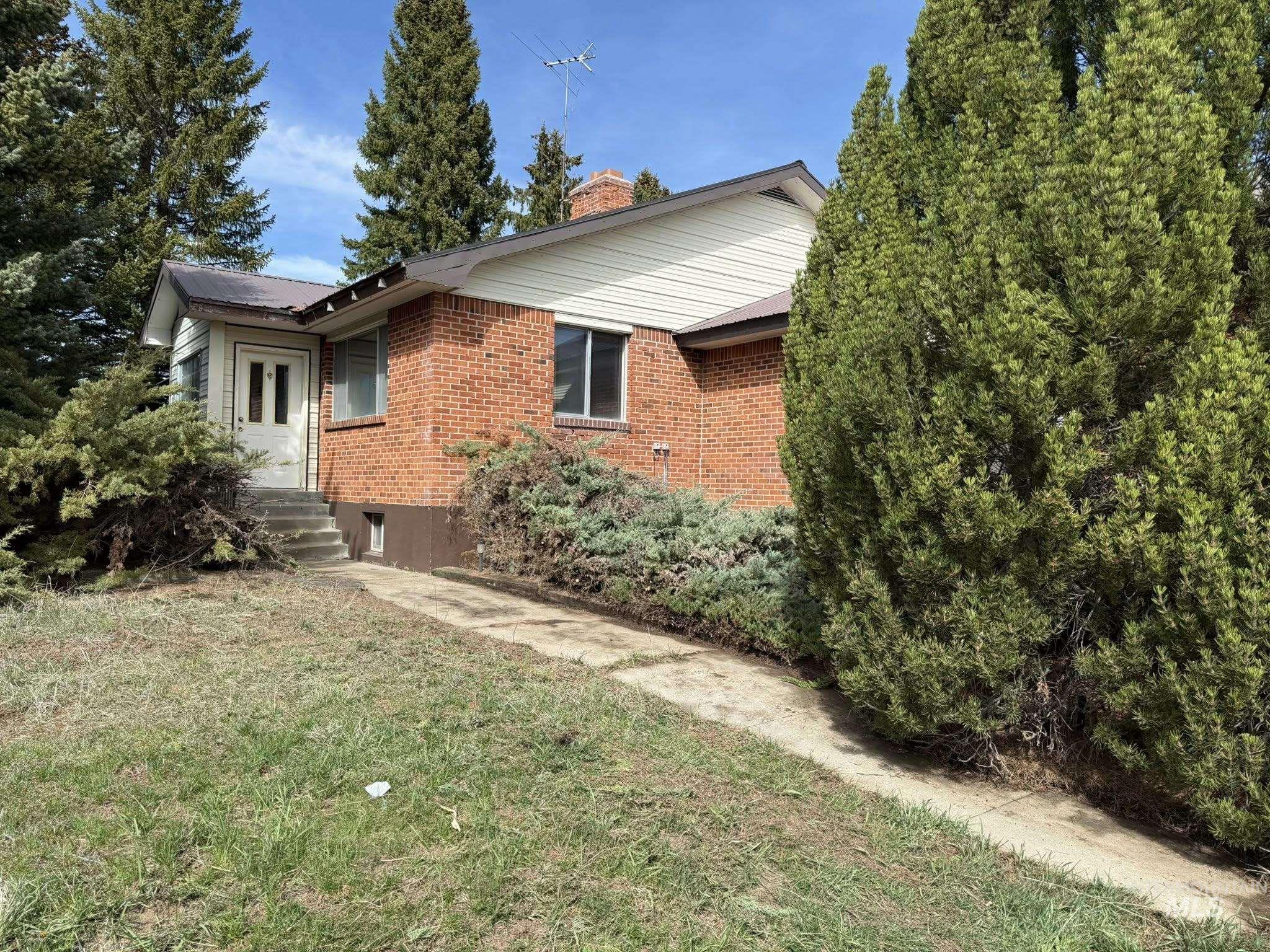 Brick and siding exterior featuring a white paneled front door, concrete steps, and mature evergreen landscaping