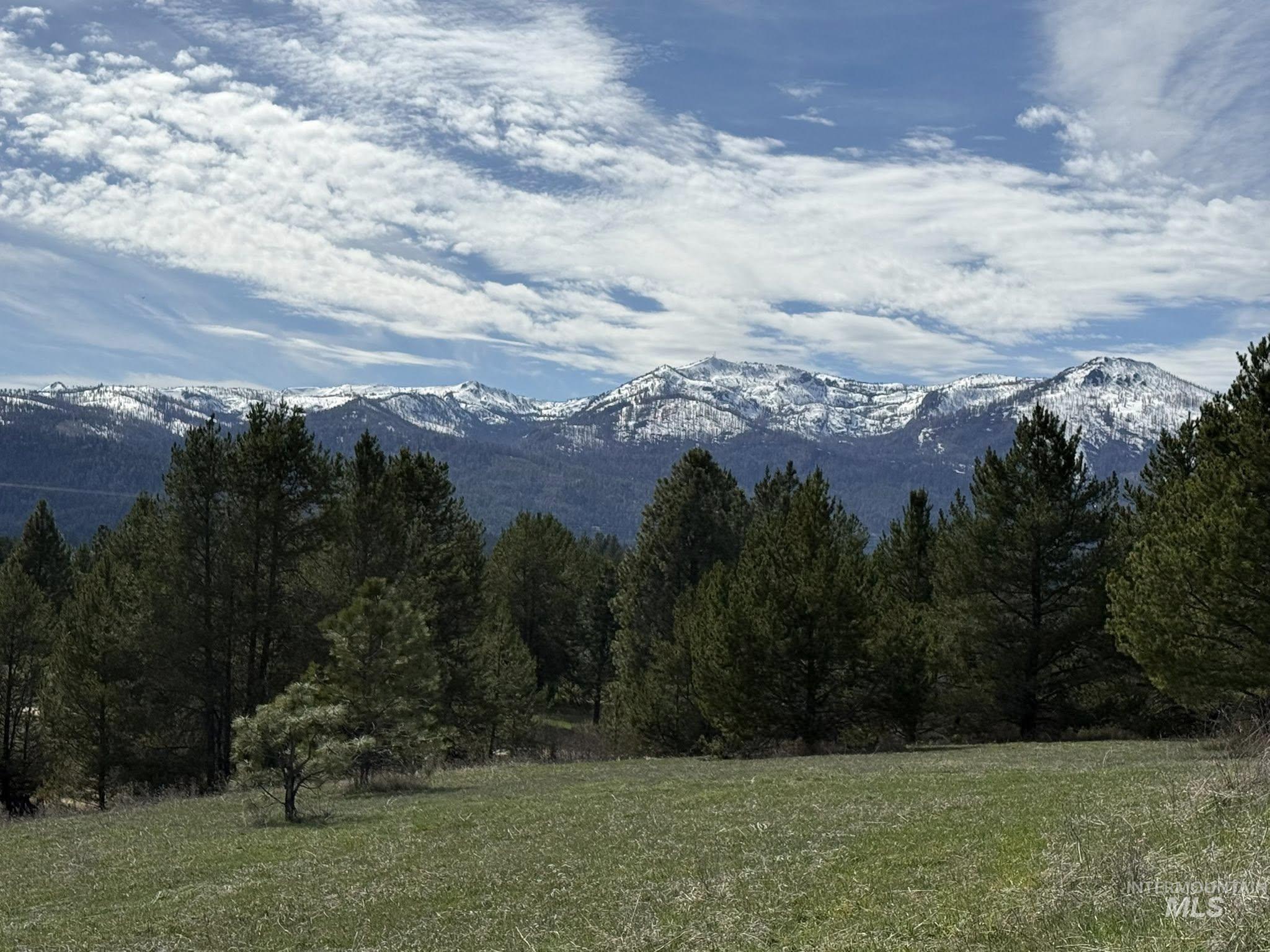 11100 Bens Road Cascade, ID 83611 - Photo 2 of 35 Expansive open field with scattered evergreen trees and a backdrop of snow-capped mountains under a partly cloudy sky