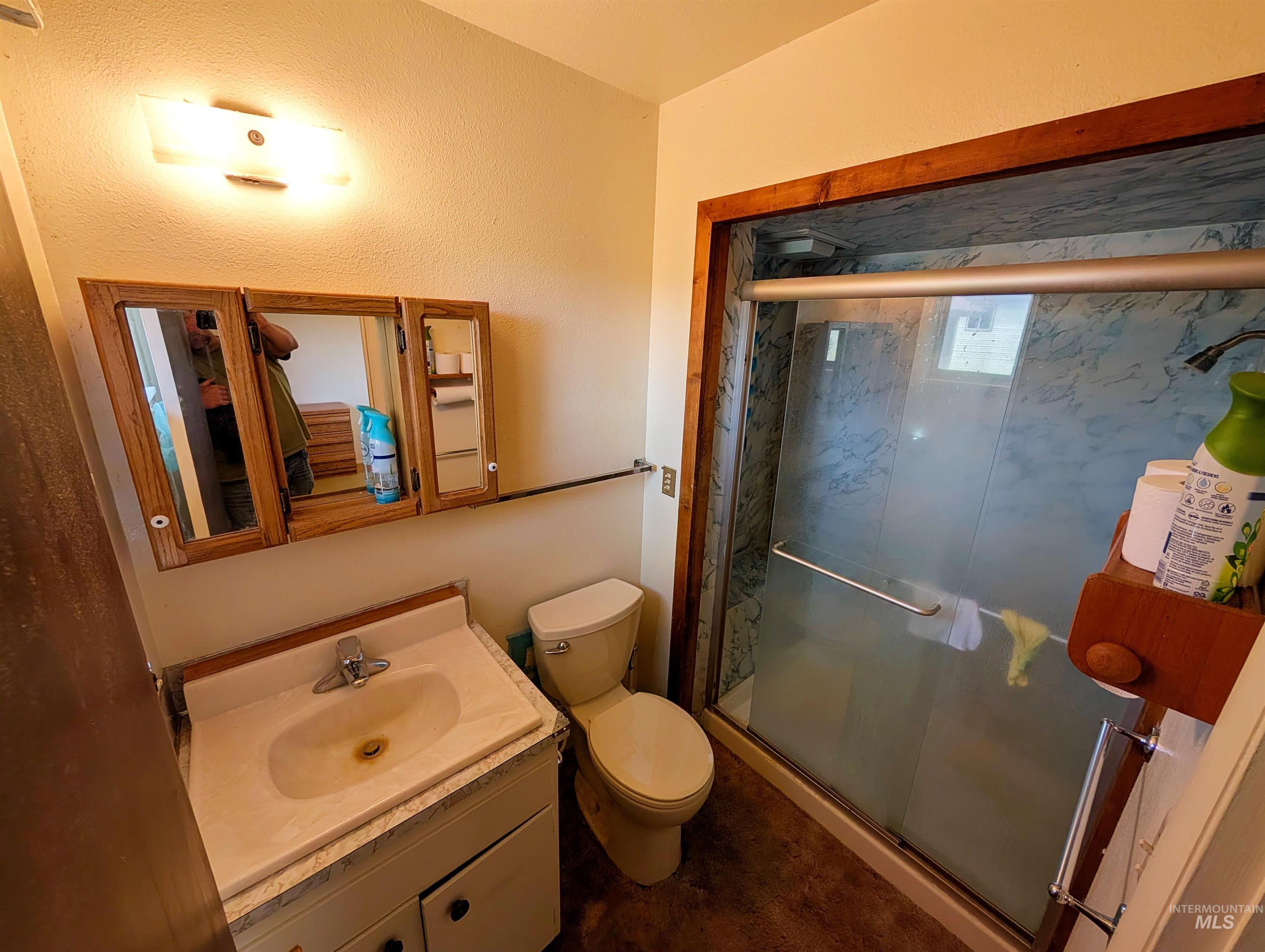 11100 Bens Road Cascade, ID 83611 - Photo 31 of 35 Bathroom featuring a glass-enclosed shower with blue-patterned wall panels, a single vanity with an integrated sink, a built-in medicine cabinet with a wood-finish frame, a wall-mounted light fixture, and a white toilet