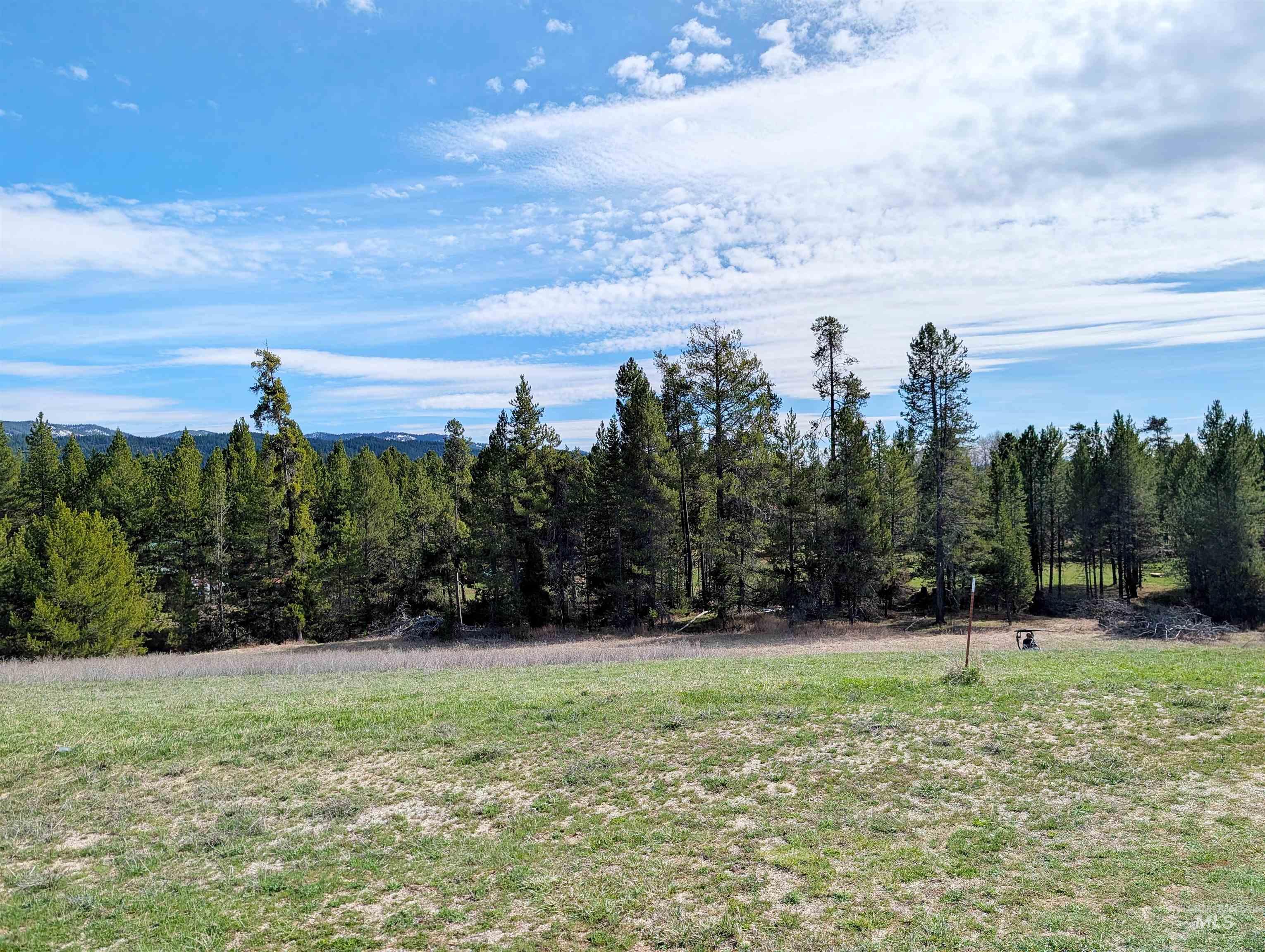 11100 Bens Road Cascade, ID 83611 - Photo 33 of 35 Expansive open field with scattered green grass and distant evergreen trees