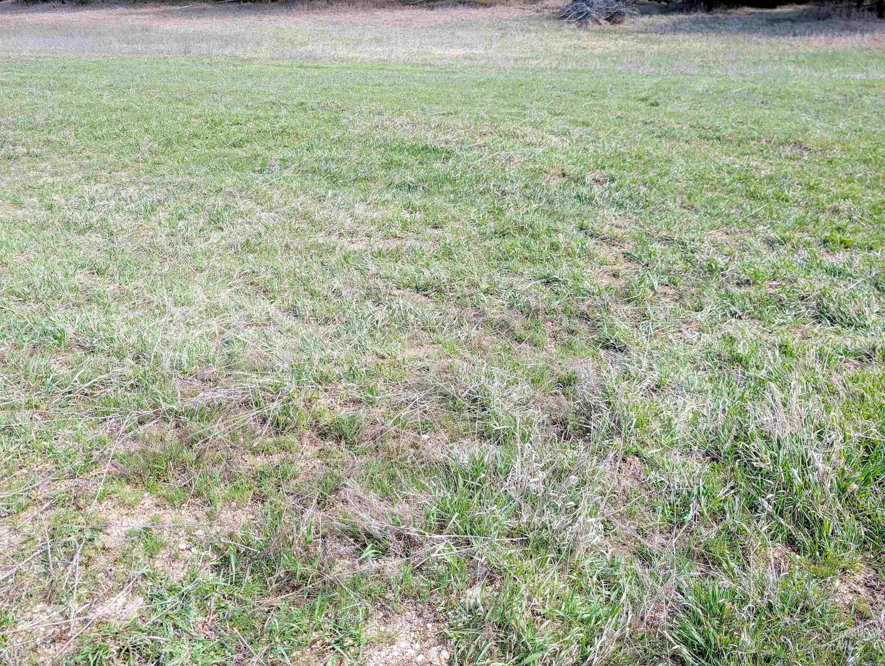 11100 Bens Road Cascade, ID 83611 - Photo 34 of 35 Image quality insufficient for description