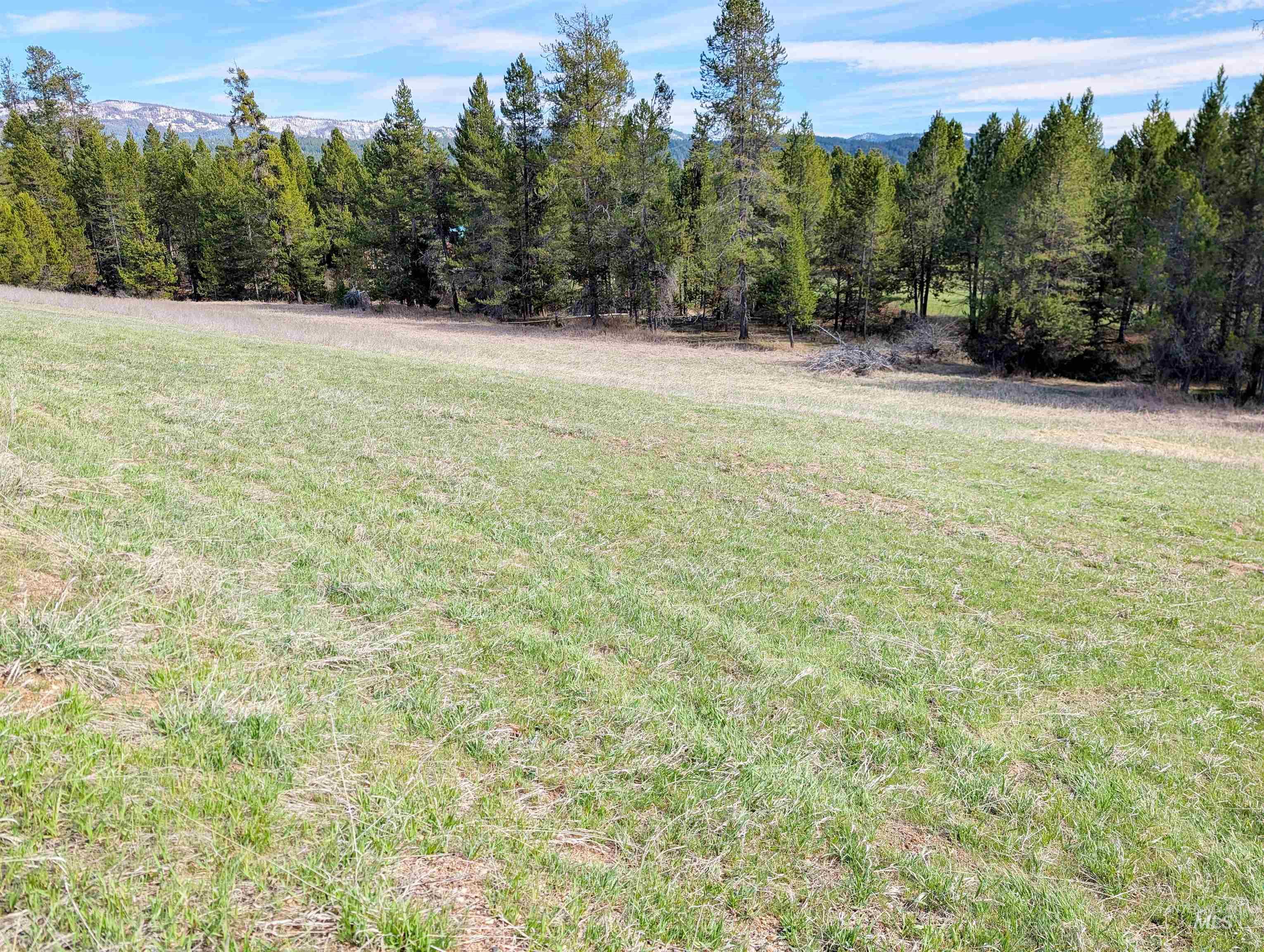 11100 Bens Road Cascade, ID 83611 - Photo 35 of 35 Expansive grassy field bordered by mature evergreen trees