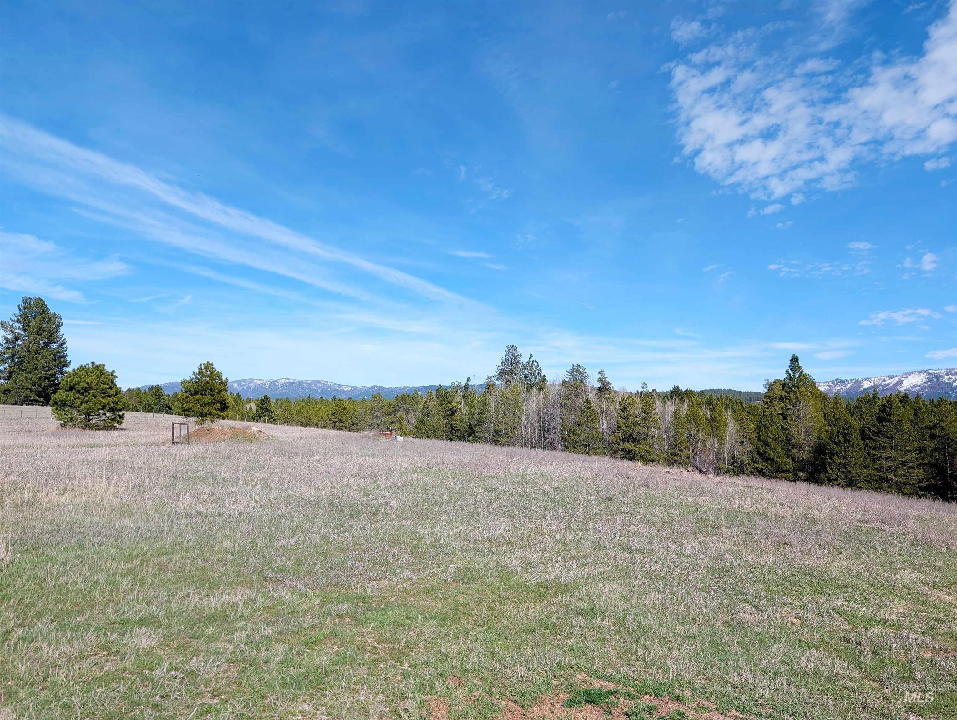 11100 Bens Road Cascade, ID 83611 - Photo 6 of 35 Expansive grassy terrain with scattered evergreen trees