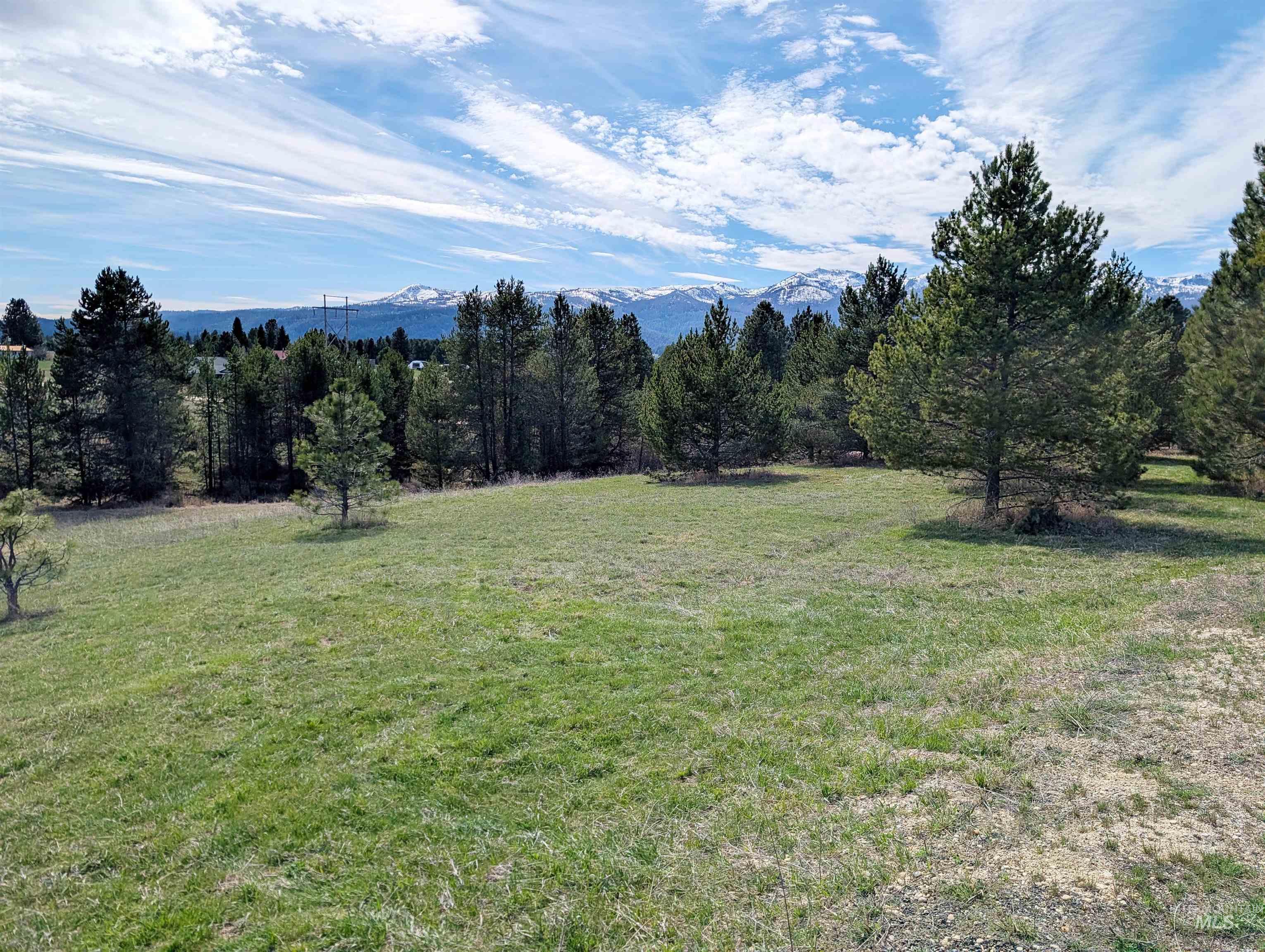 11100 Bens Road Cascade, ID 83611 - Photo 7 of 35 Expansive grassy terrain featuring scattered evergreen trees and distant snow-capped mountains