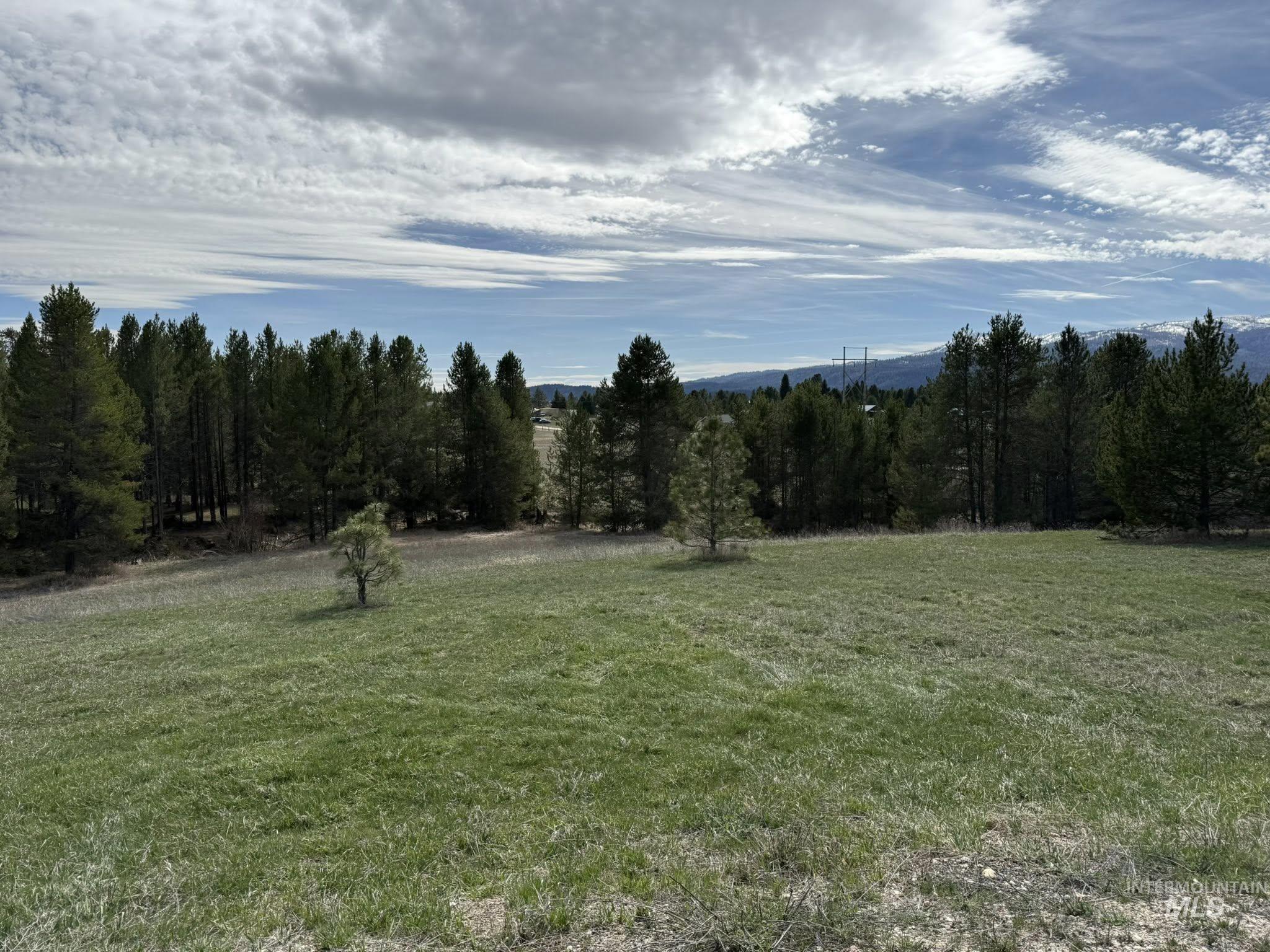 11100 Bens Road Cascade, ID 83611 - Photo 8 of 35 Expansive undeveloped parcel featuring established evergreen trees and a substantial grassy area