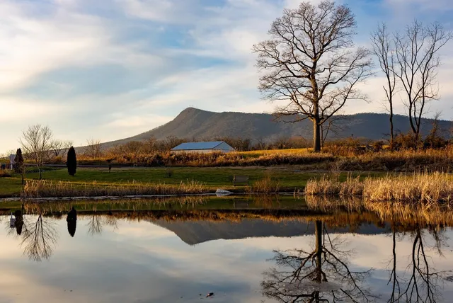 a view of a yard in front of a house
