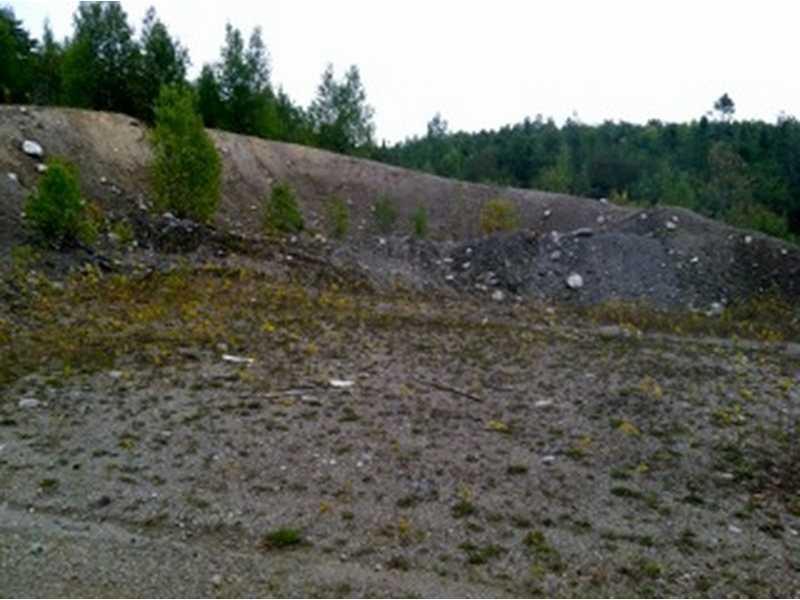 0 Ghost Road Springfield, ME 04487 - Photo 11 of 12 Land.