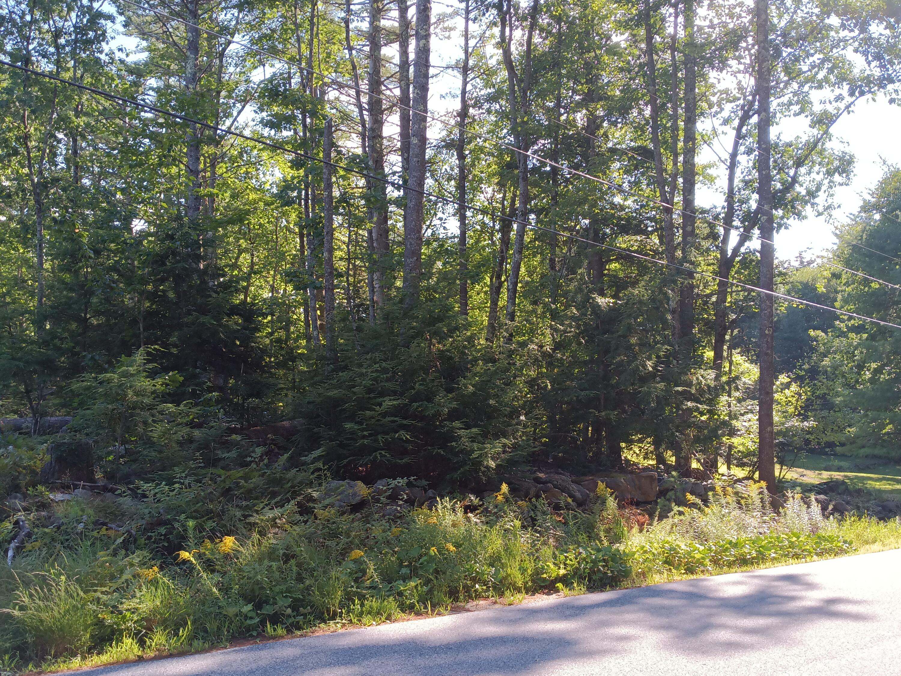 95 Walnut Hill Road Shapleigh, ME 04076 - Photo 2 of 5 1000019023