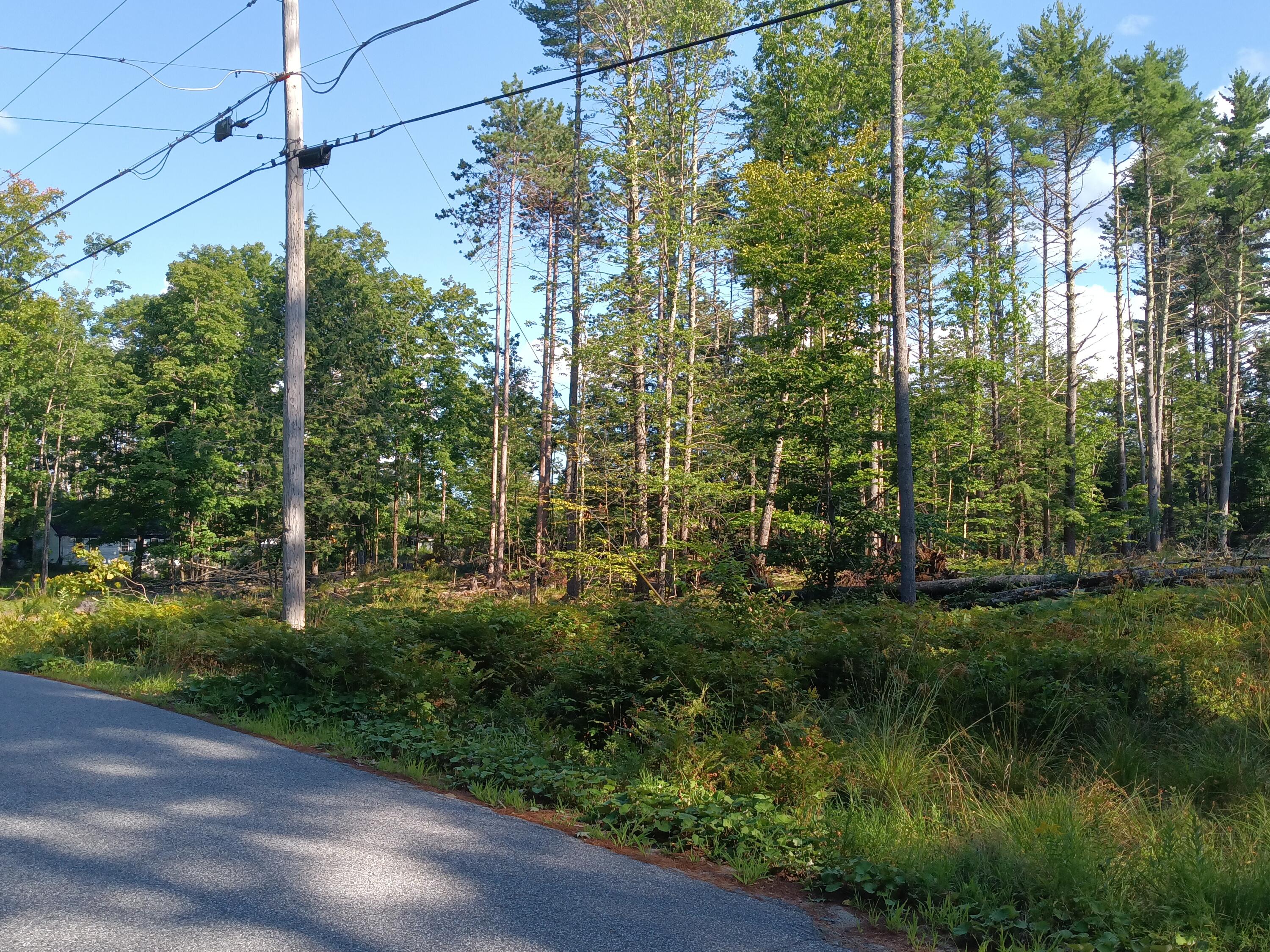 95 Walnut Hill Road Shapleigh, ME 04076 - Photo 3 of 5 1000019024