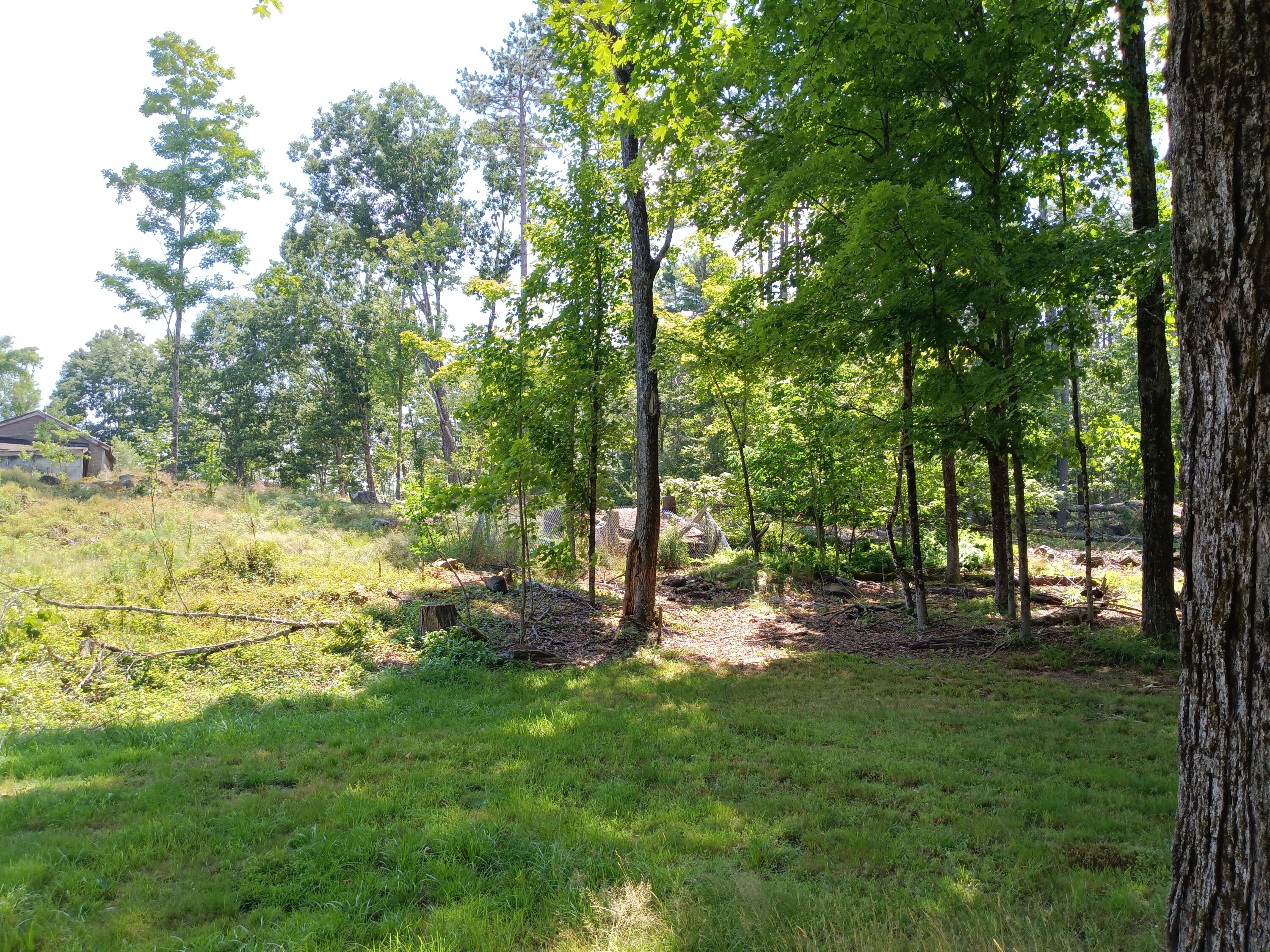 95 Walnut Hill Road Shapleigh, ME 04076 - Photo 5 of 5 1000018030