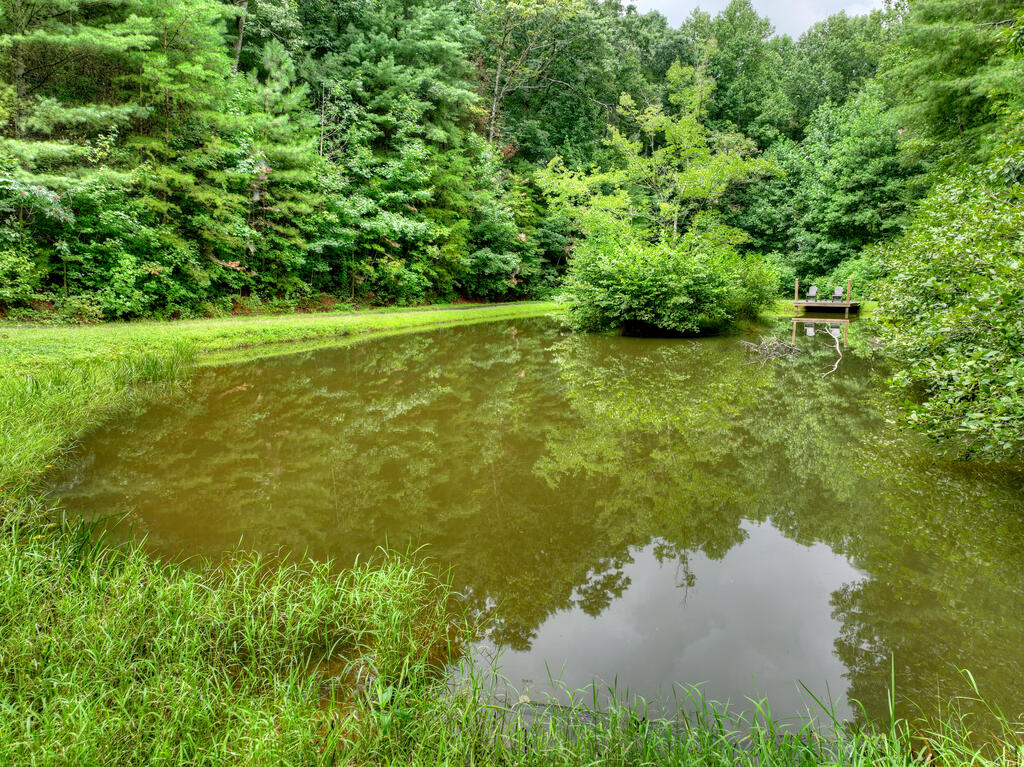 1009 Hefner Lake Road Ellijay, GA 30536 - Photo 78 of 93 Gallery Image 78