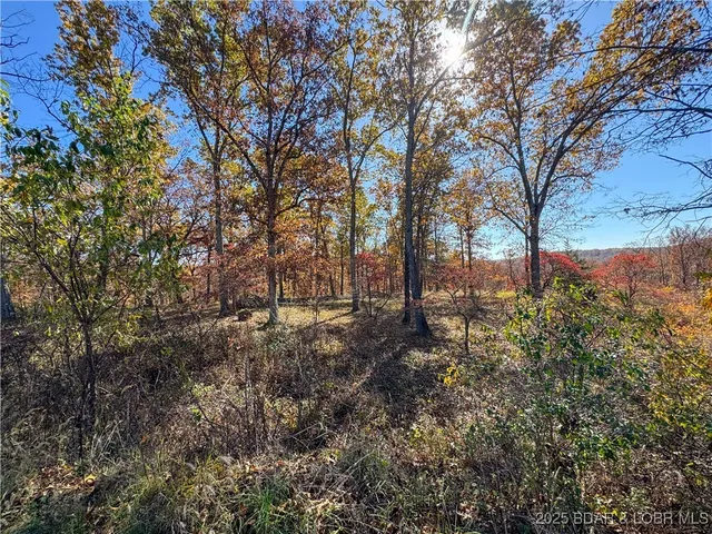 $549,000 | 22471 Hwy Mm, Versailles, MO 65084