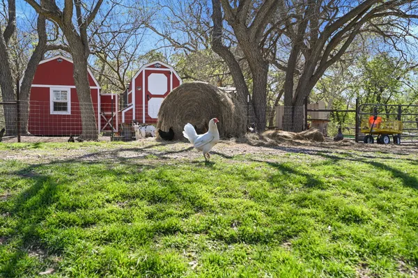 $2,400,000 | 11900 Farm To Market Road 1660, Taylor, TX 76574
