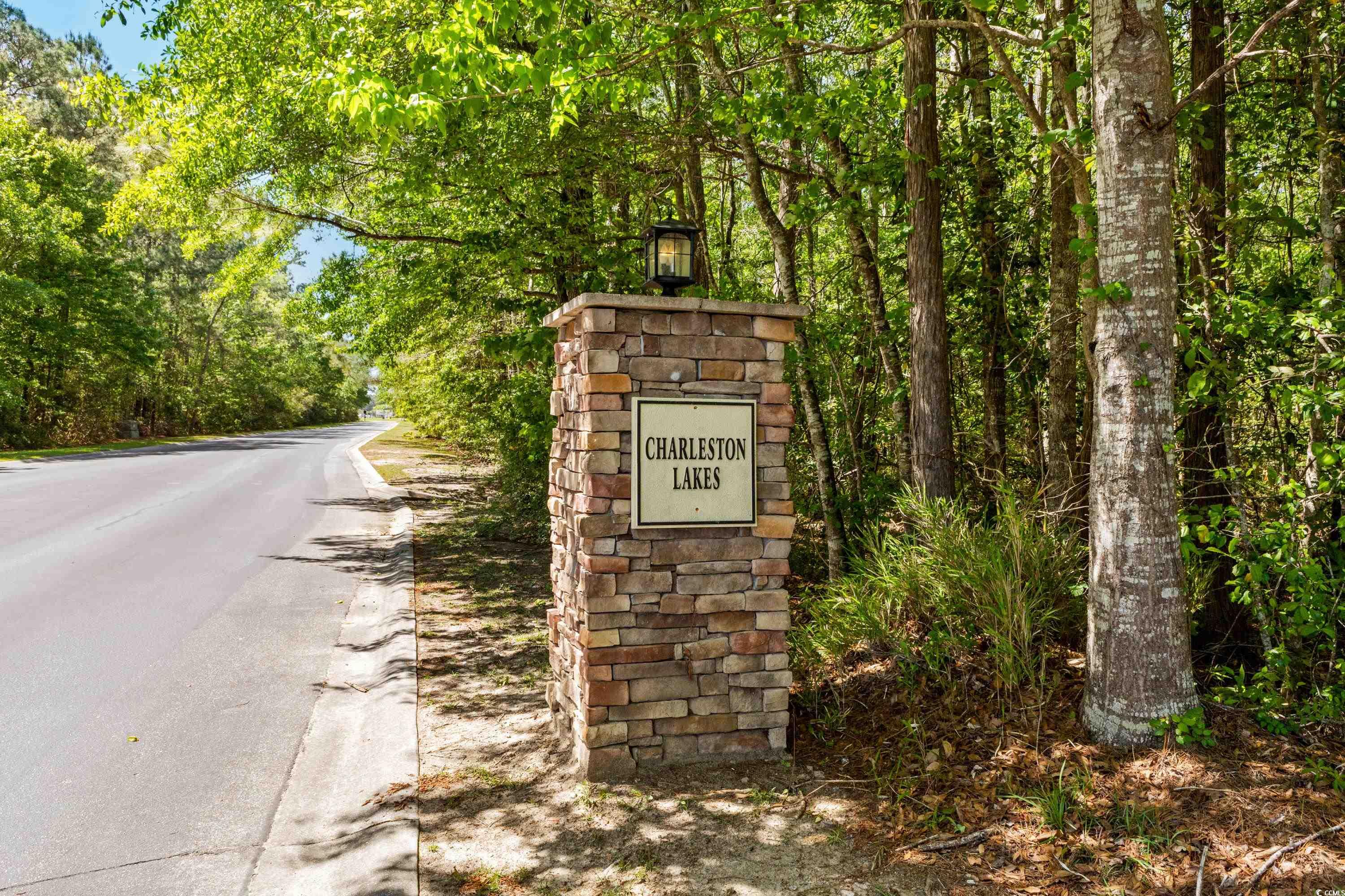 356 Whipple Run Loop Myrtle Beach, SC 29588 - Photo 33 of 40