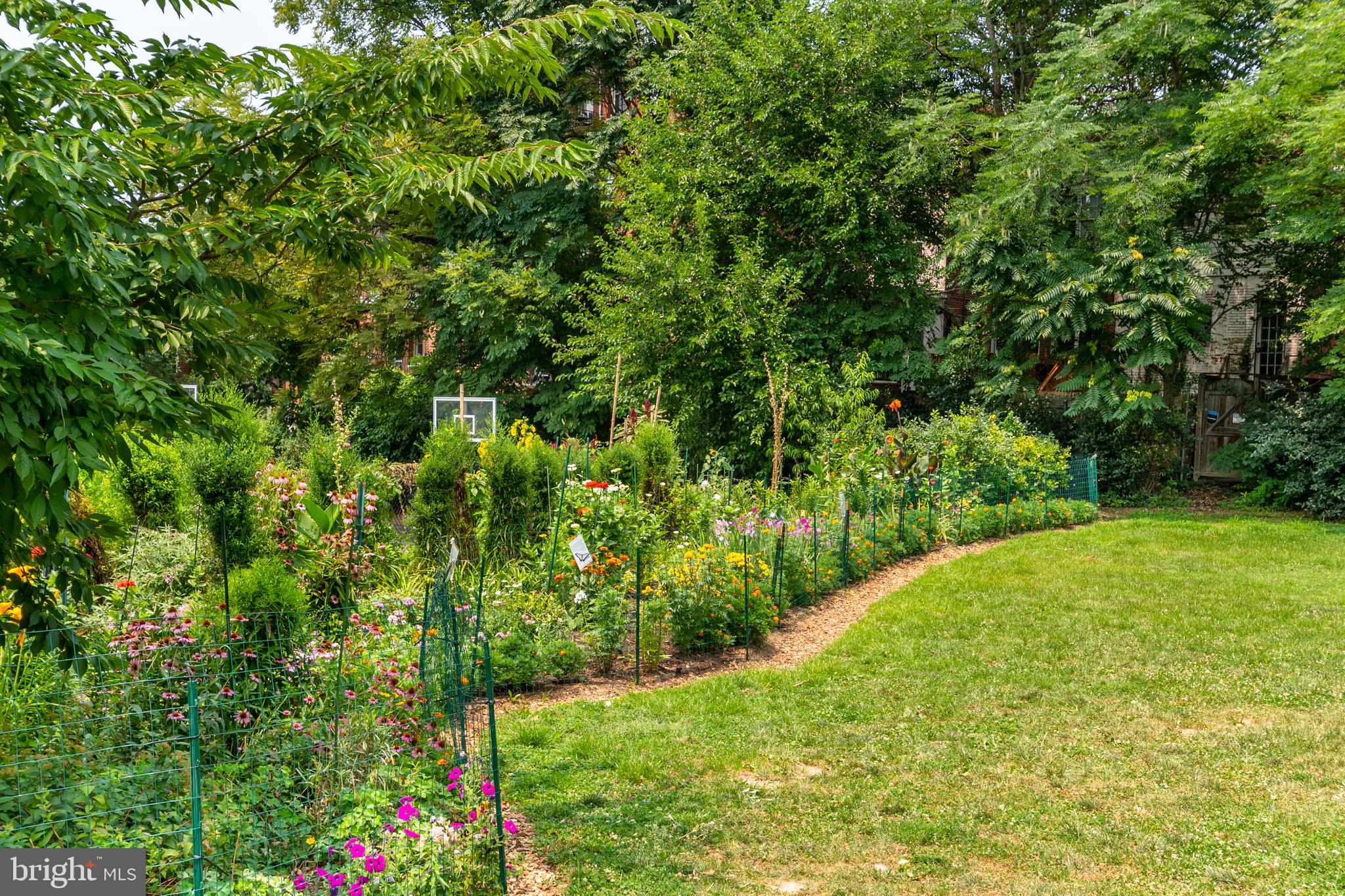 1911 Belmont Road Northwest, Unit 71 Washington, DC 20009 - Photo 18 of 22 Nearby Kalorama Park