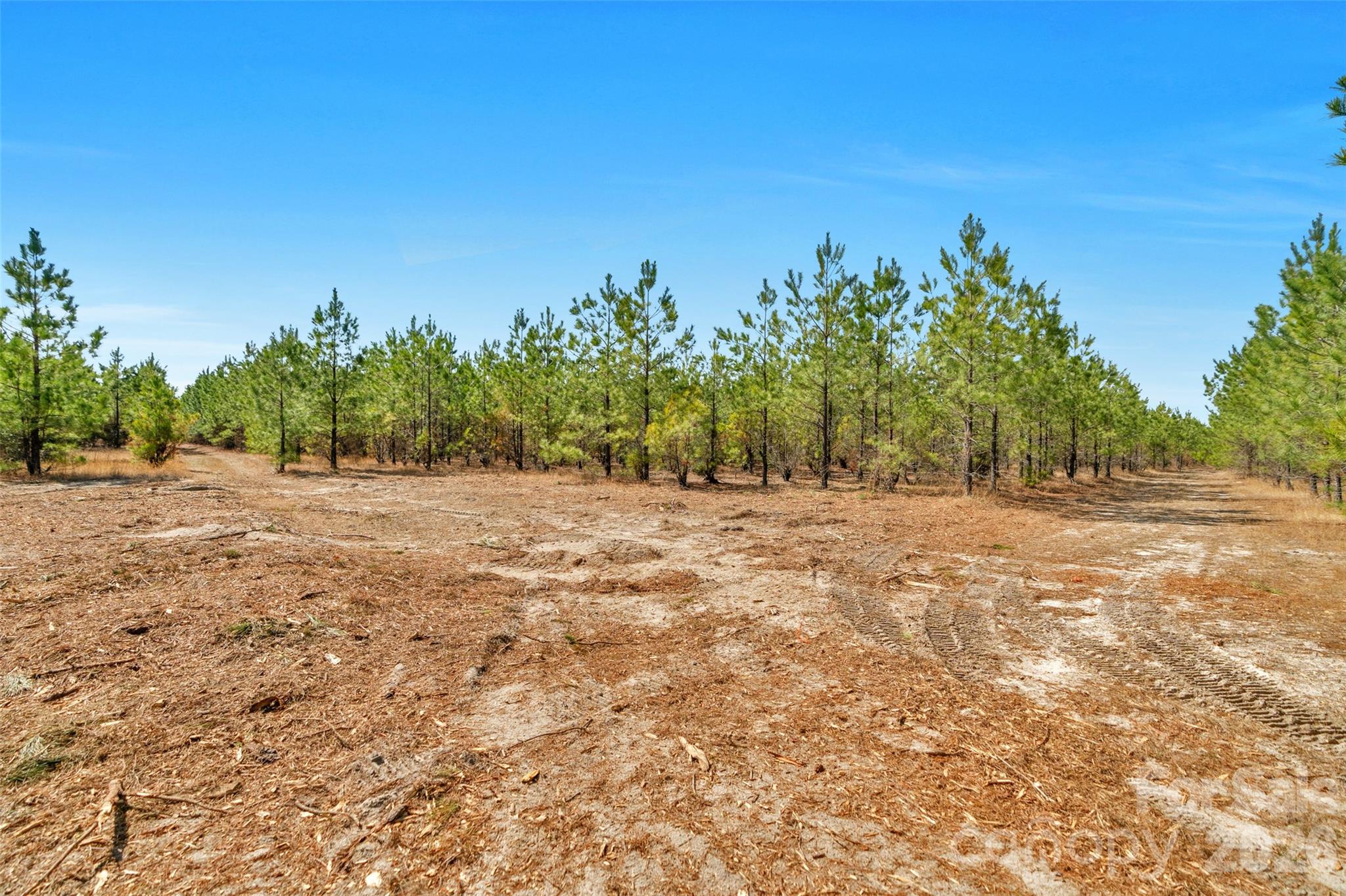 931 Charlie Johnson Road, Unit 2 Kershaw, SC 29067 - Photo 14 of 35