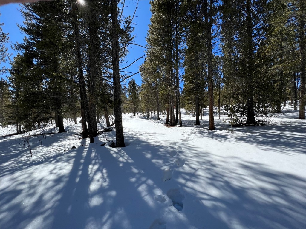 92 Skidoo Road Fairplay, CO 80440 - Photo 12 of 16 Gallery Image 12