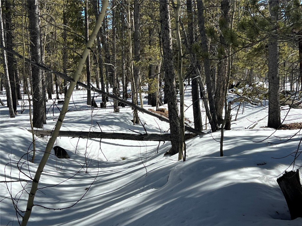 92 Skidoo Road Fairplay, CO 80440 - Photo 16 of 16 Gallery Image 16