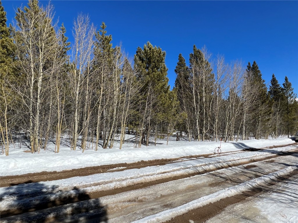 92 Skidoo Road Fairplay, CO 80440 - Photo 8 of 16 Gallery Image 8