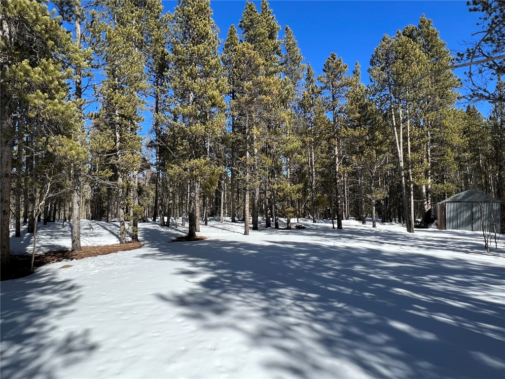 92 Skidoo Road Fairplay, CO 80440 - Photo 10 of 16 Gallery Image 10