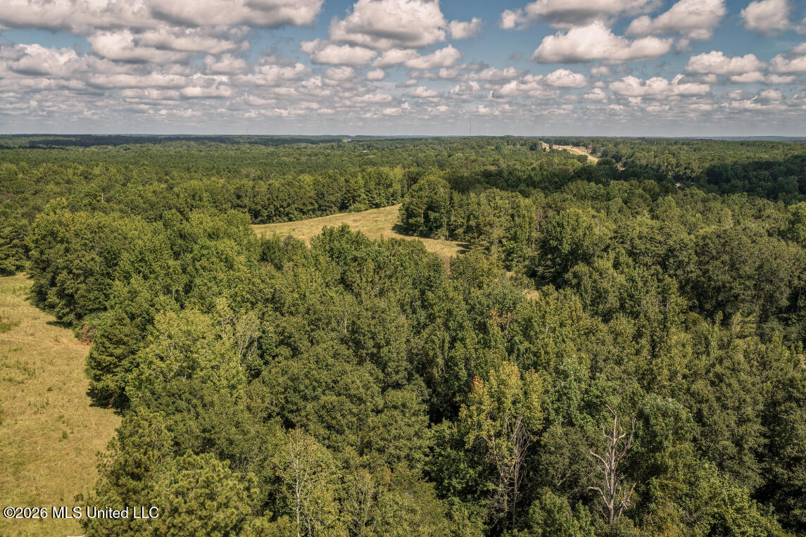 Craft Road Magee, MS 39111 - Photo 28 of 39 DJI_20260813110503_0600_D