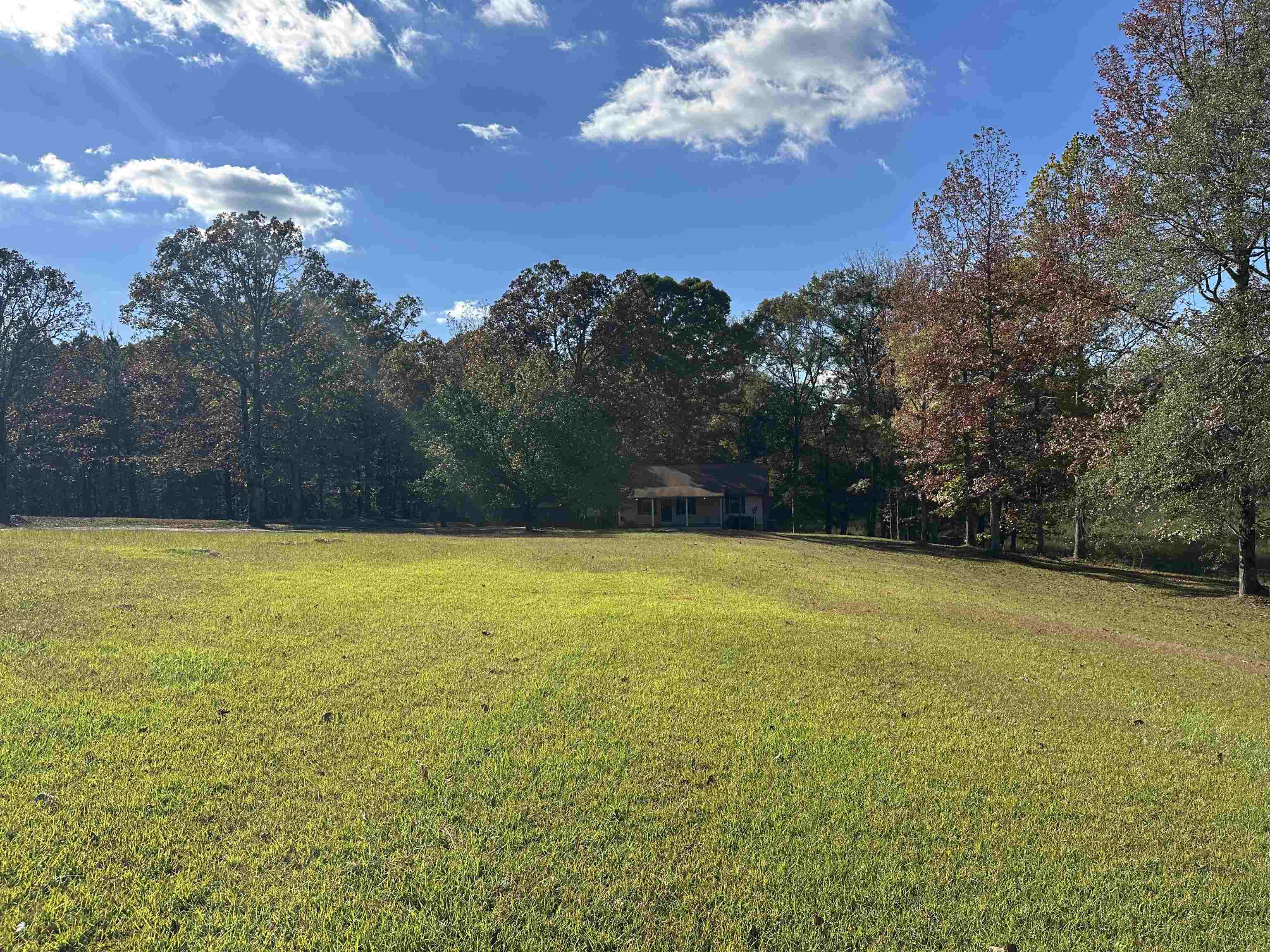 298 Matlock Road Ramer, TN 38367 - Photo 15 of 17 a view of outdoor space and yard
