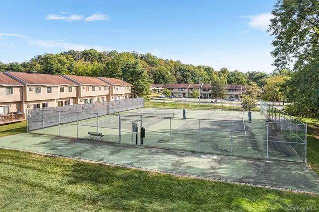 a view of a park with large trees