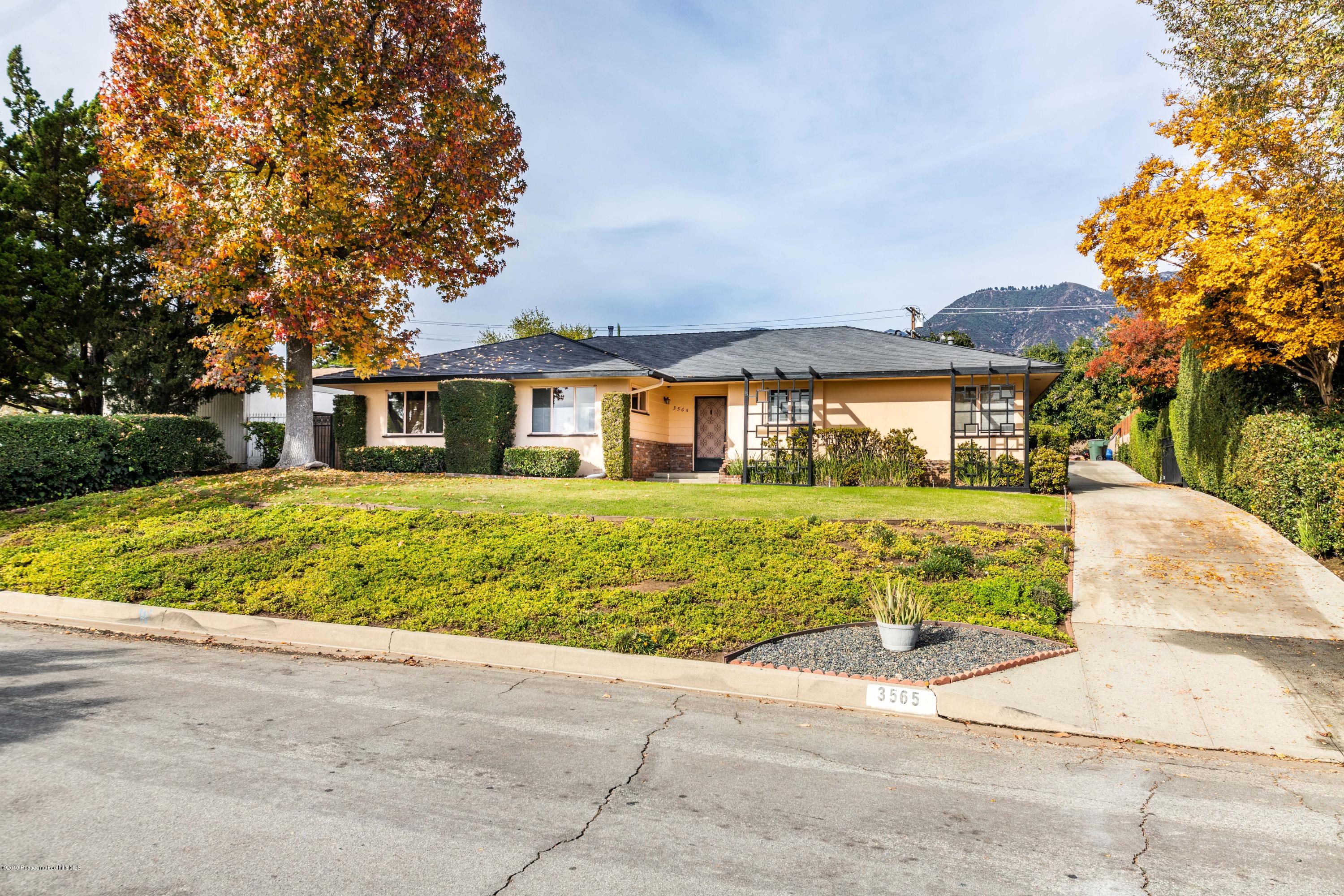 3565 Shadow Grove1