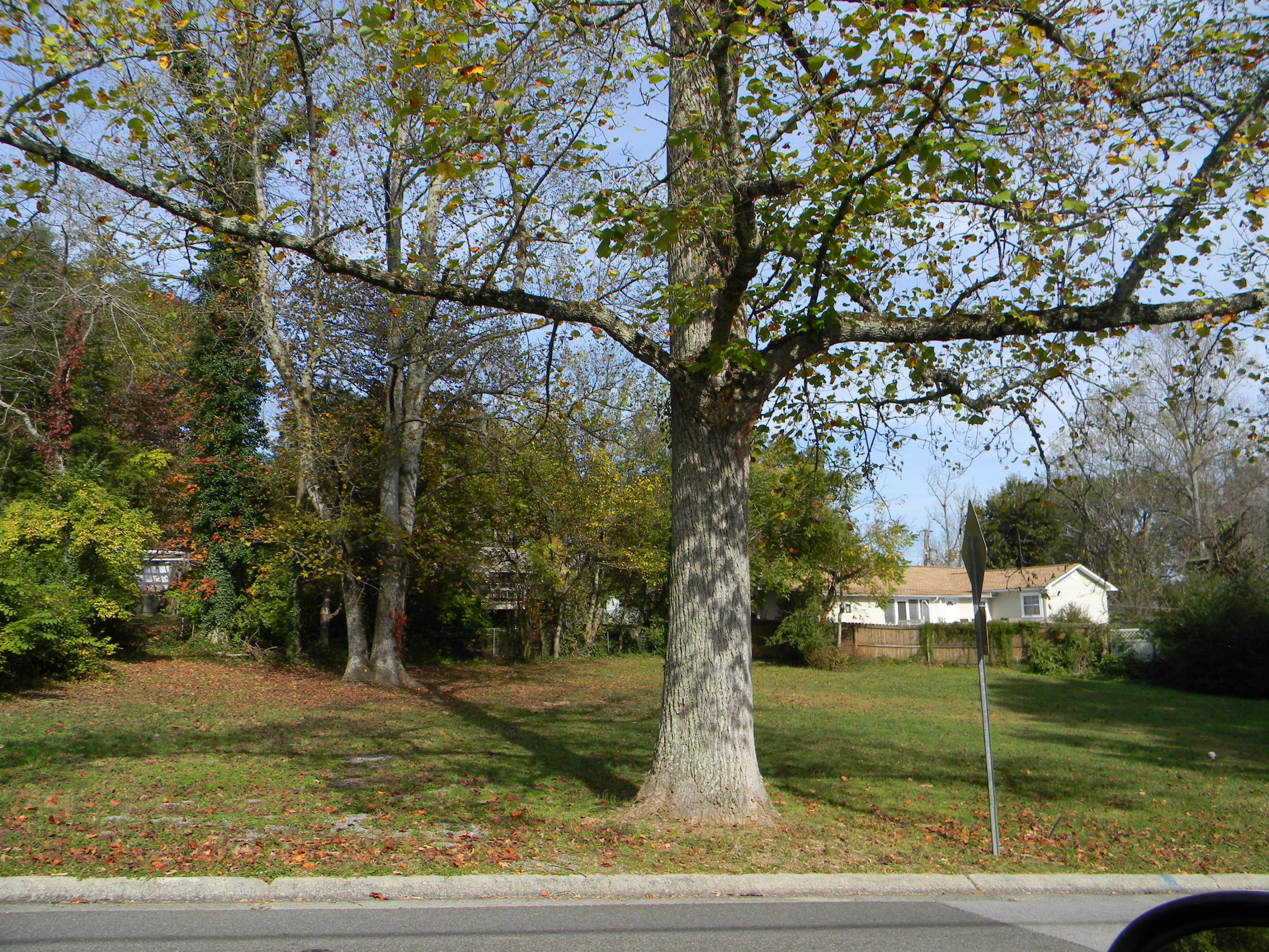 200 Delaware Avenue Oak Ridge, TN 37830 - Photo 2 of 2 DSCN1554