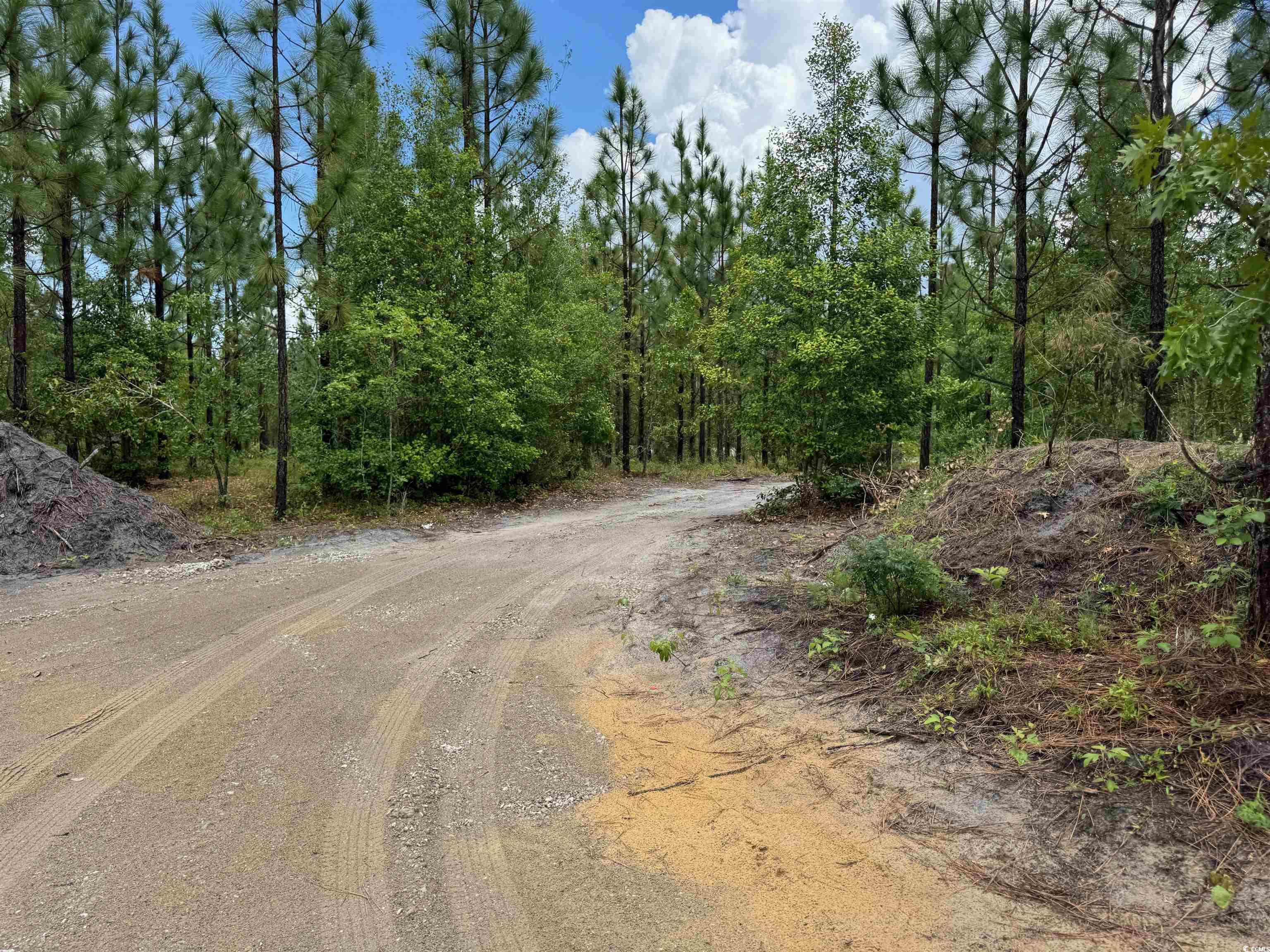 1698 Carriage Lane Loris, SC 29569 - Photo 11 of 25