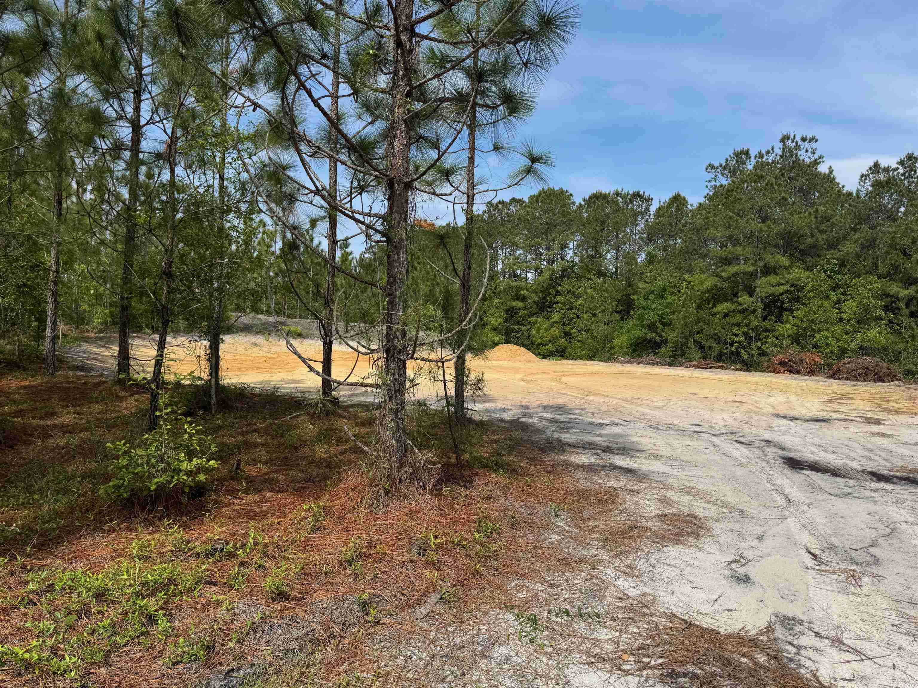 1698 Carriage Lane Loris, SC 29569 - Photo 12 of 25