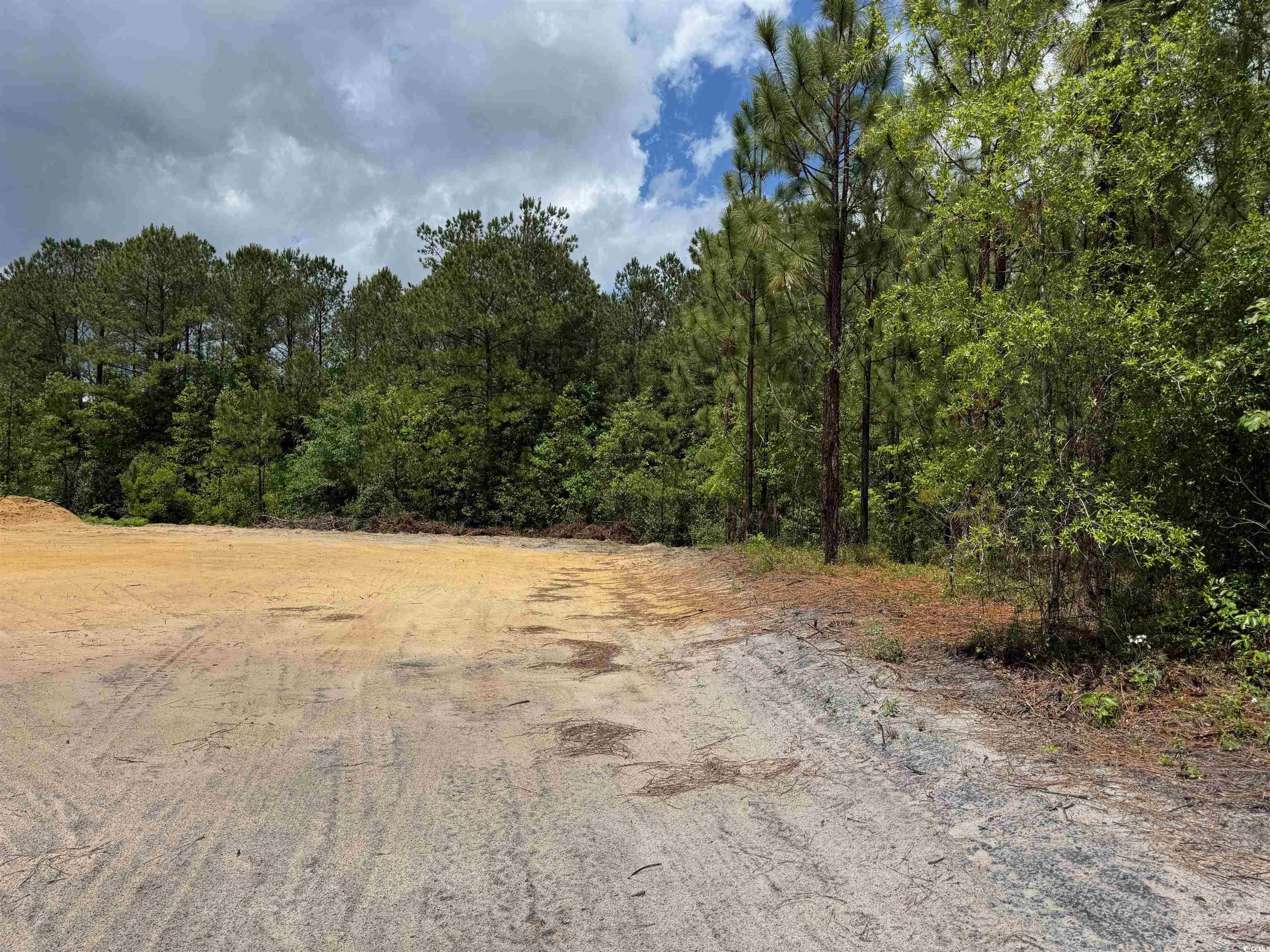 1698 Carriage Lane Loris, SC 29569 - Photo 13 of 25