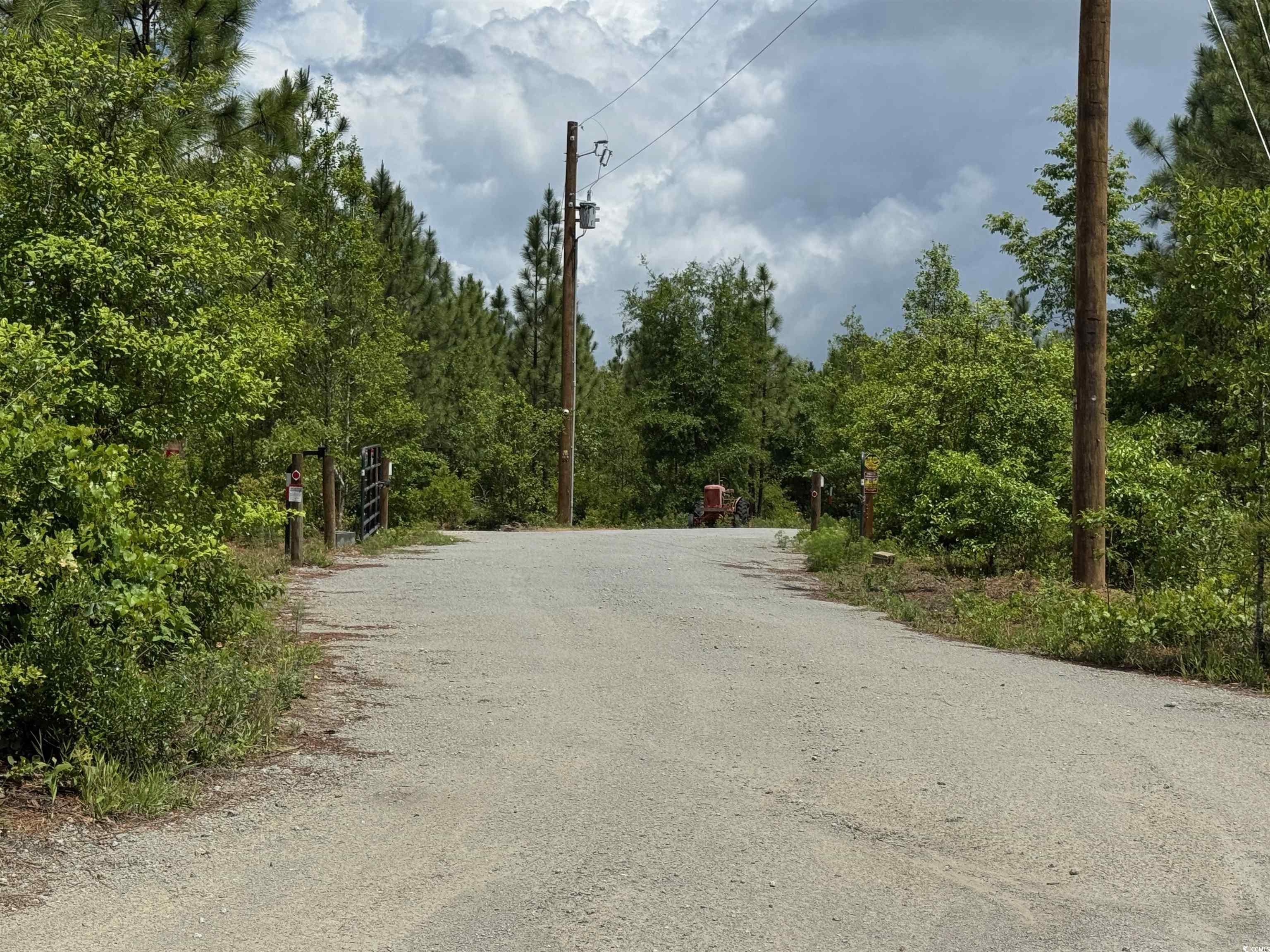 1698 Carriage Lane Loris, SC 29569 - Photo 15 of 25