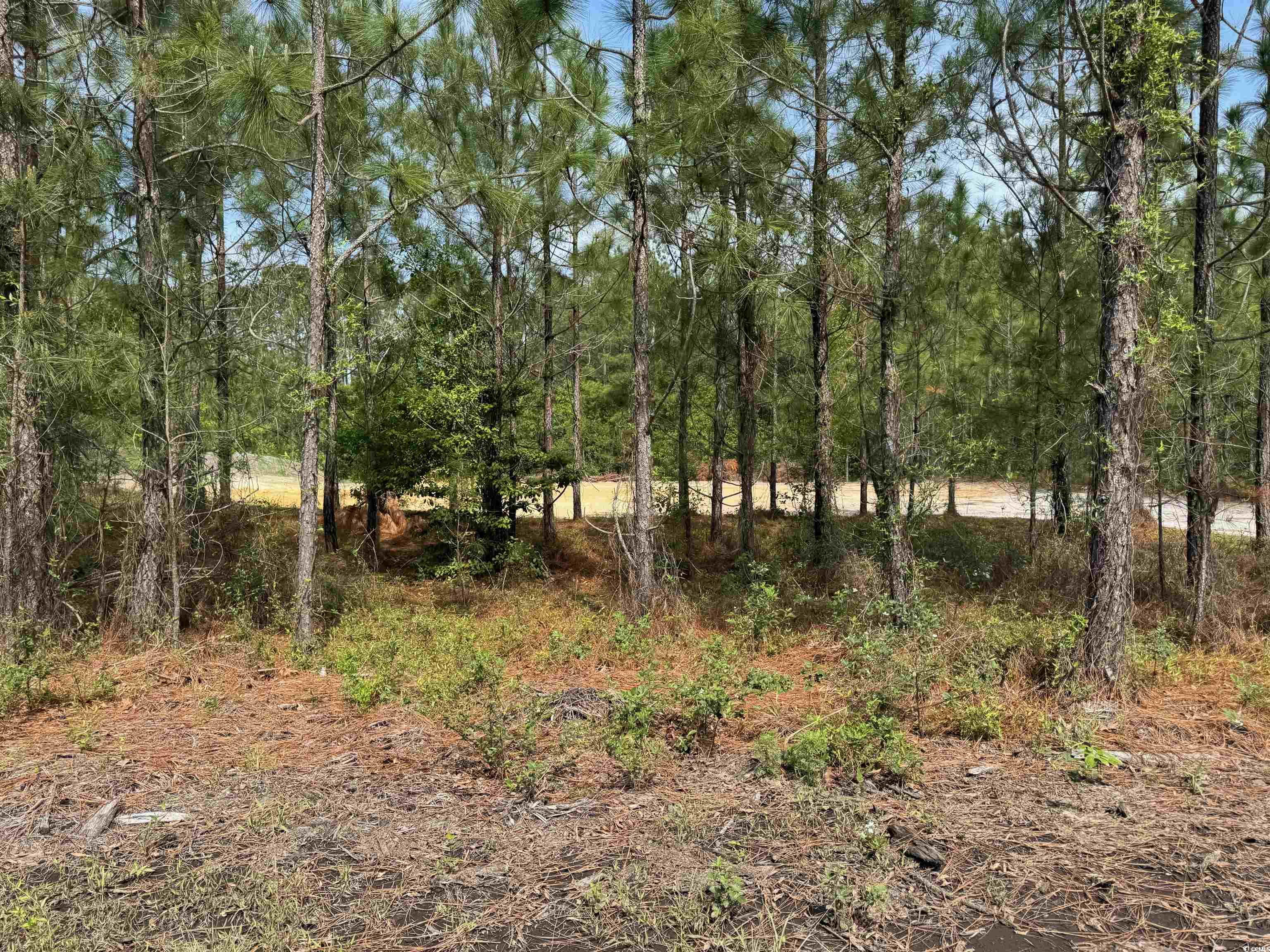 1698 Carriage Lane Loris, SC 29569 - Photo 16 of 25