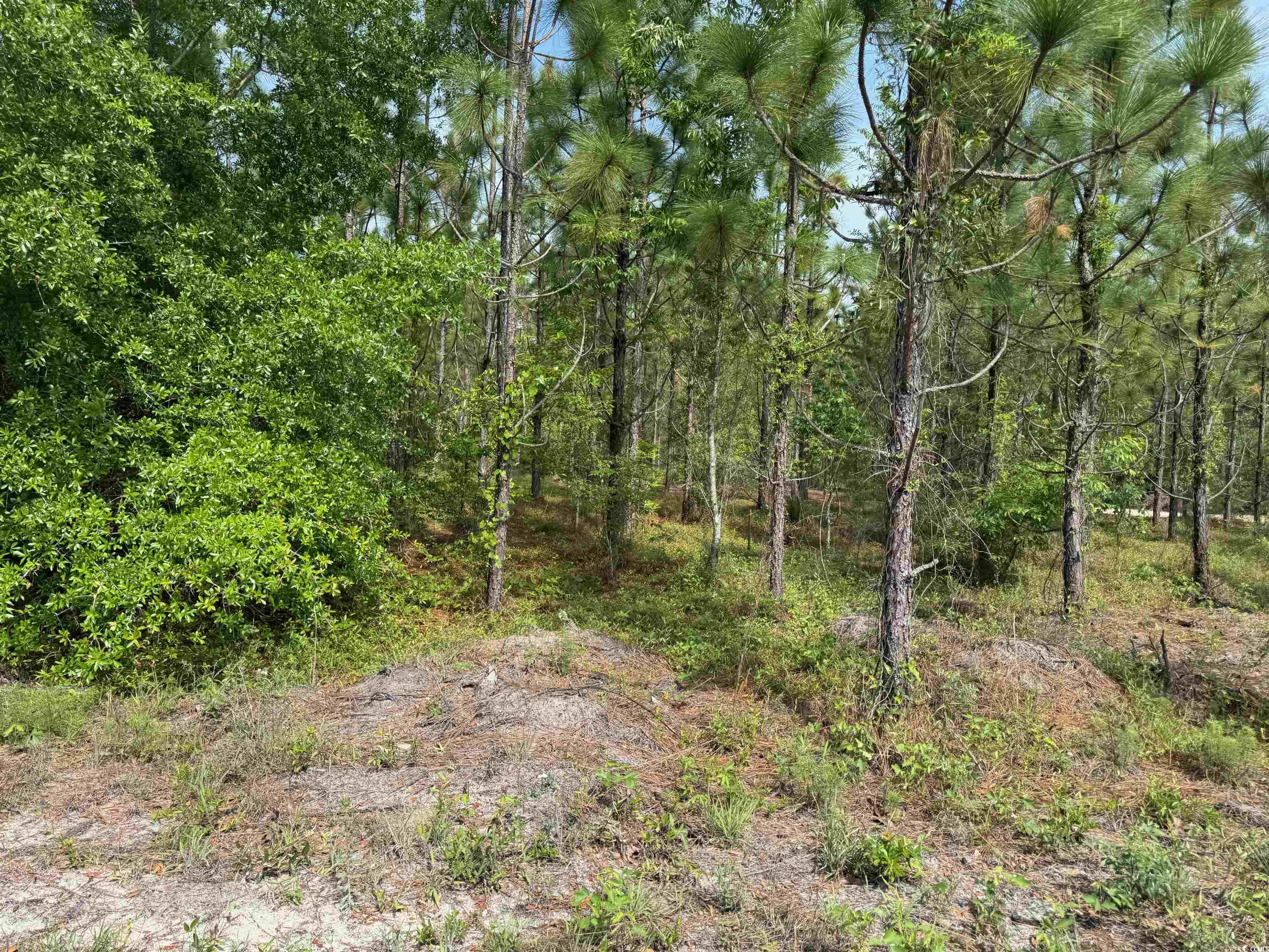 1698 Carriage Lane Loris, SC 29569 - Photo 17 of 25