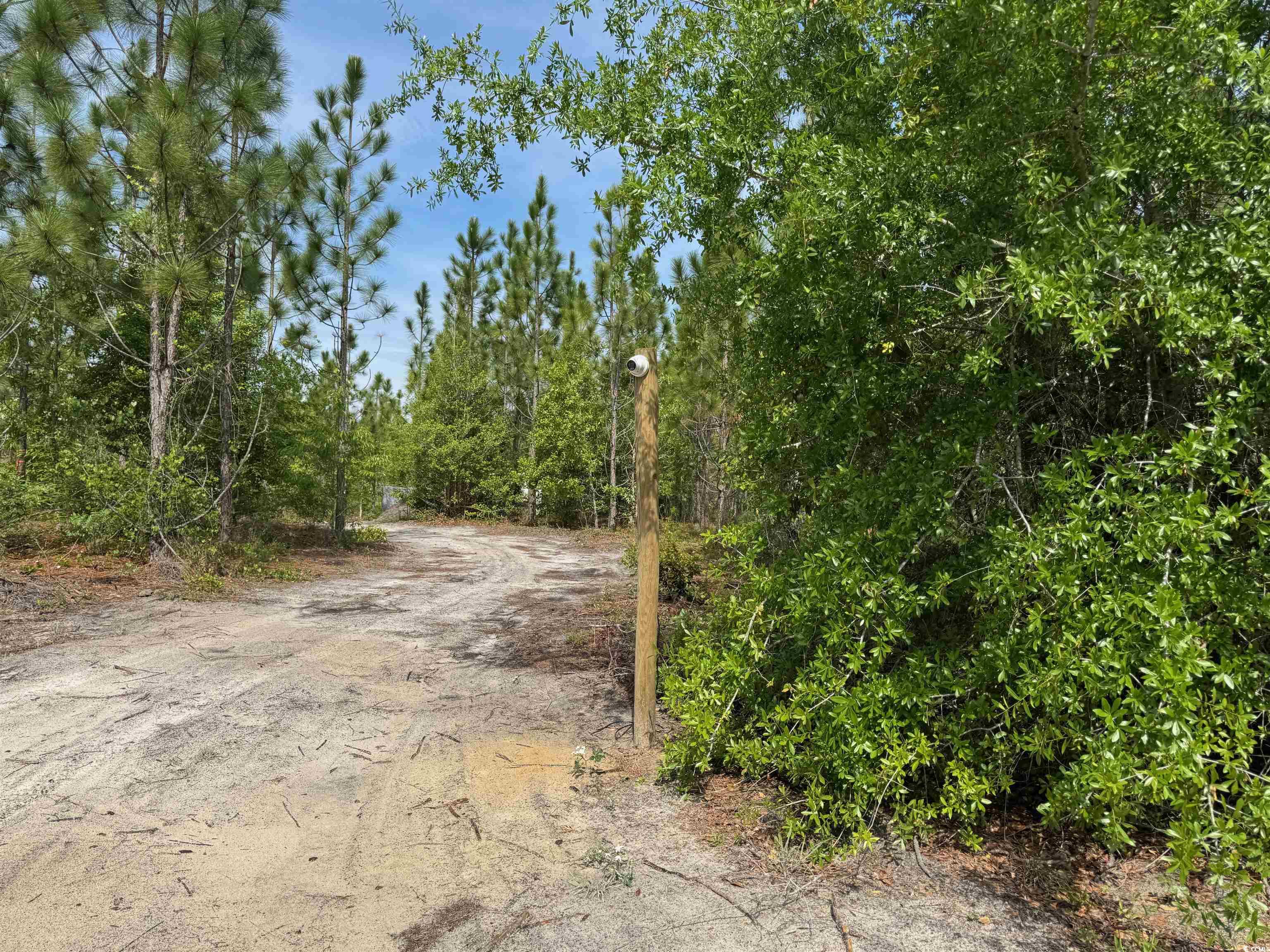 1698 Carriage Lane Loris, SC 29569 - Photo 18 of 25