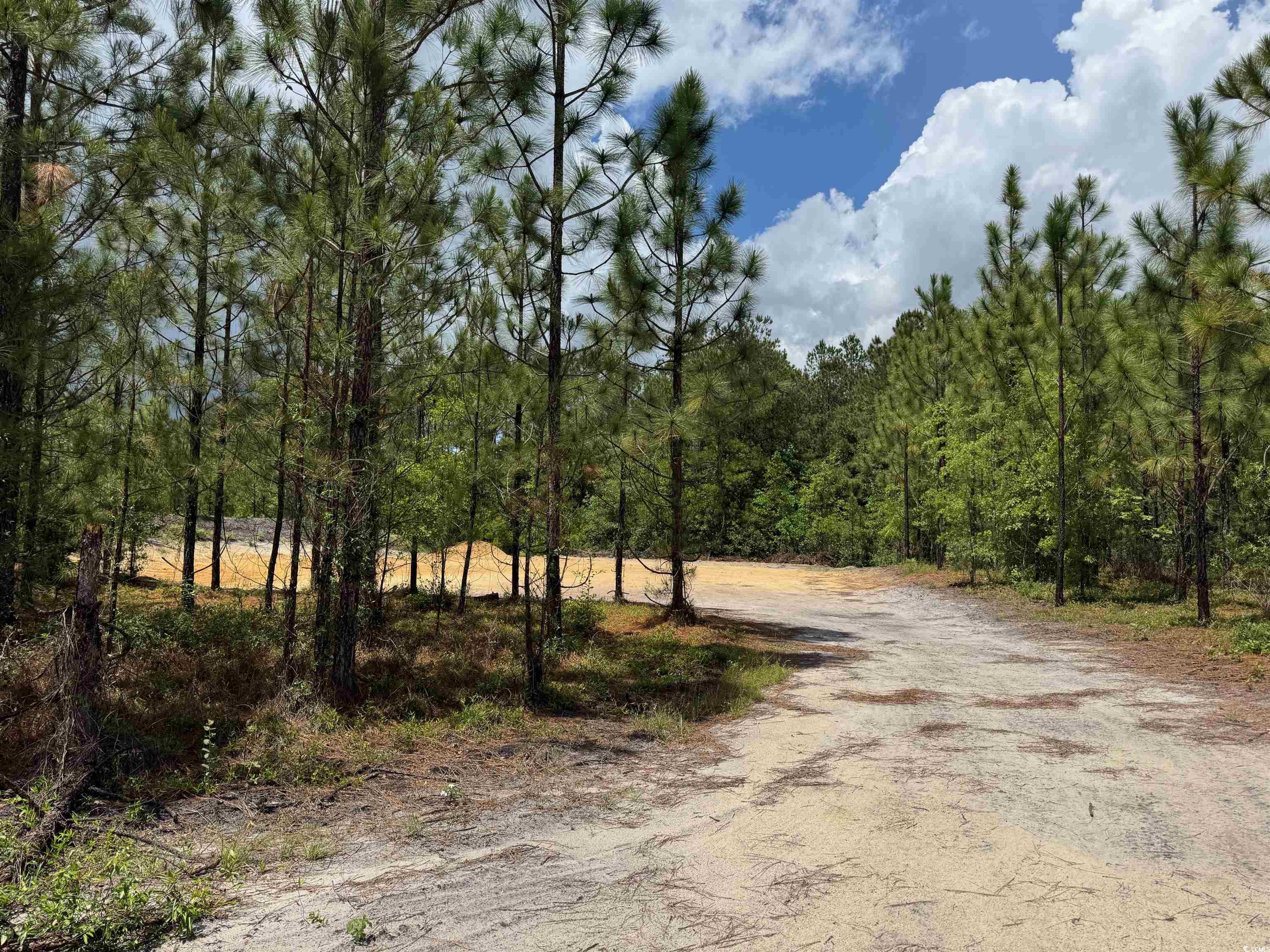 1698 Carriage Lane Loris, SC 29569 - Photo 19 of 25
