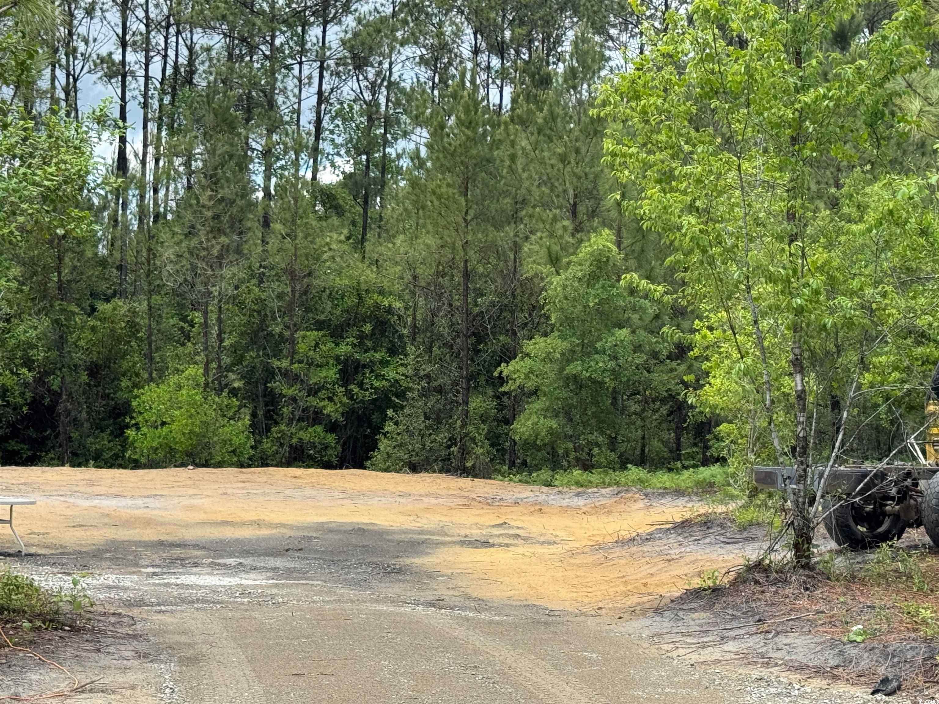 1698 Carriage Lane Loris, SC 29569 - Photo 2 of 25