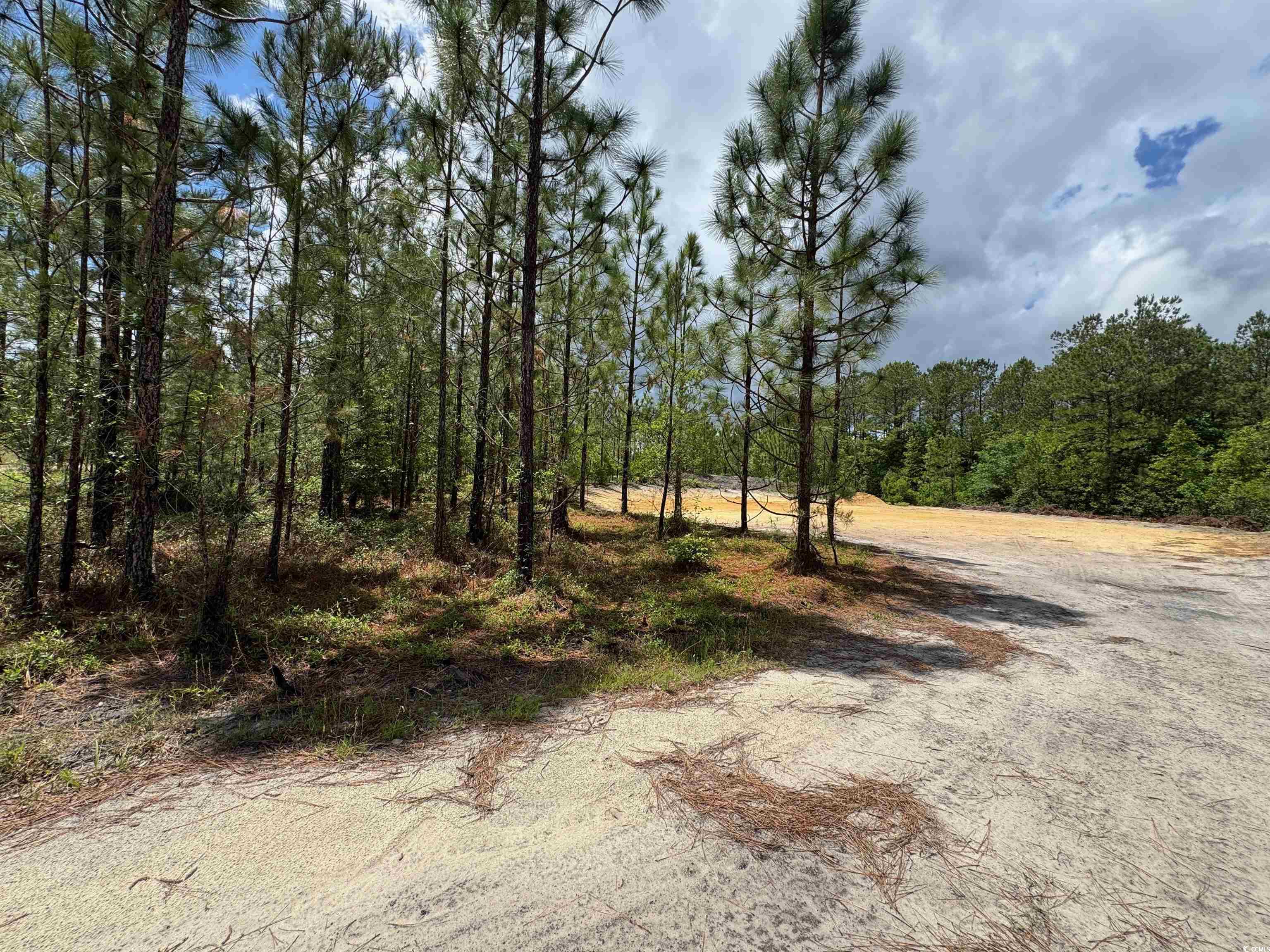 1698 Carriage Lane Loris, SC 29569 - Photo 24 of 25