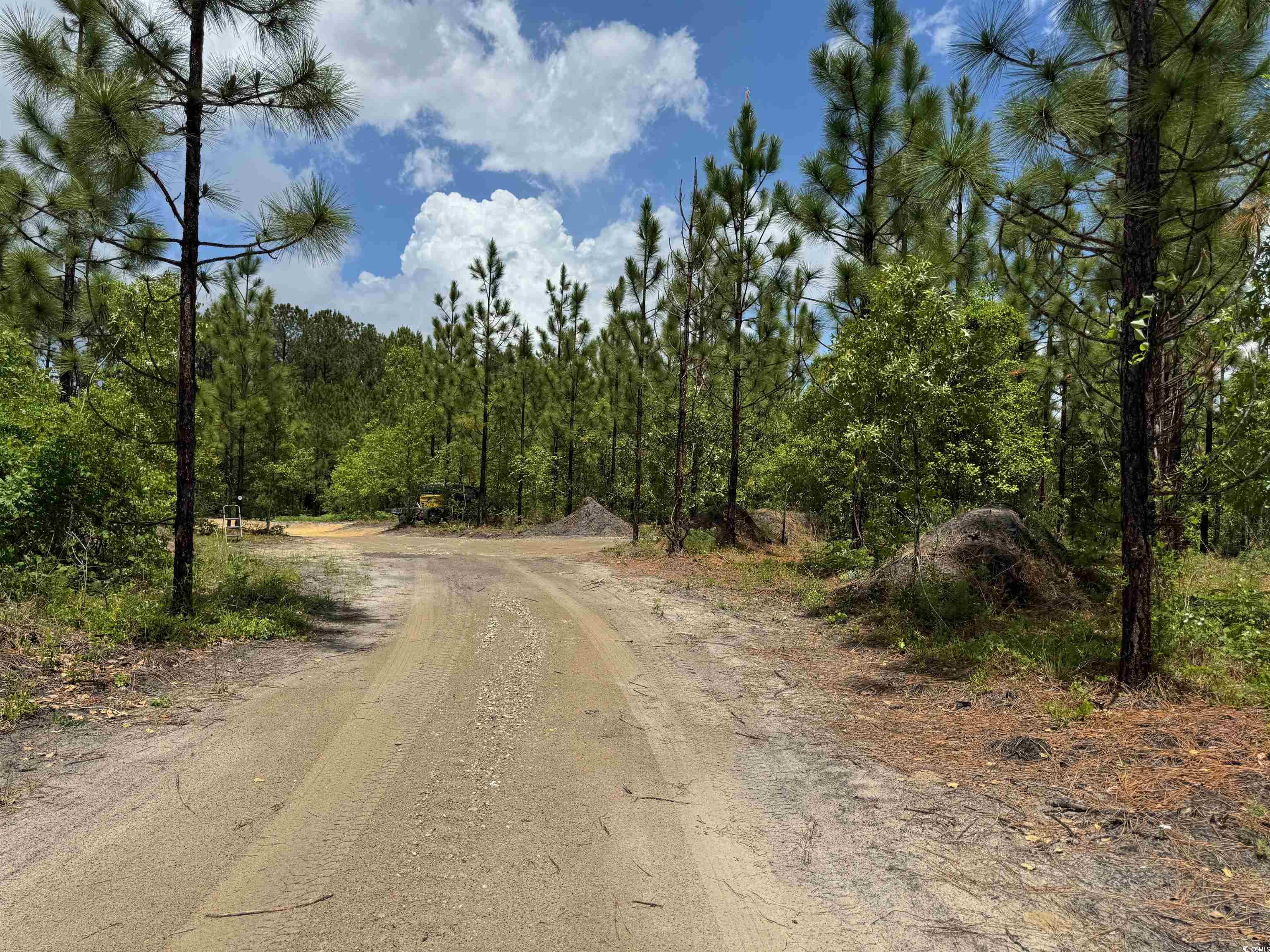 1698 Carriage Lane Loris, SC 29569 - Photo 4 of 25