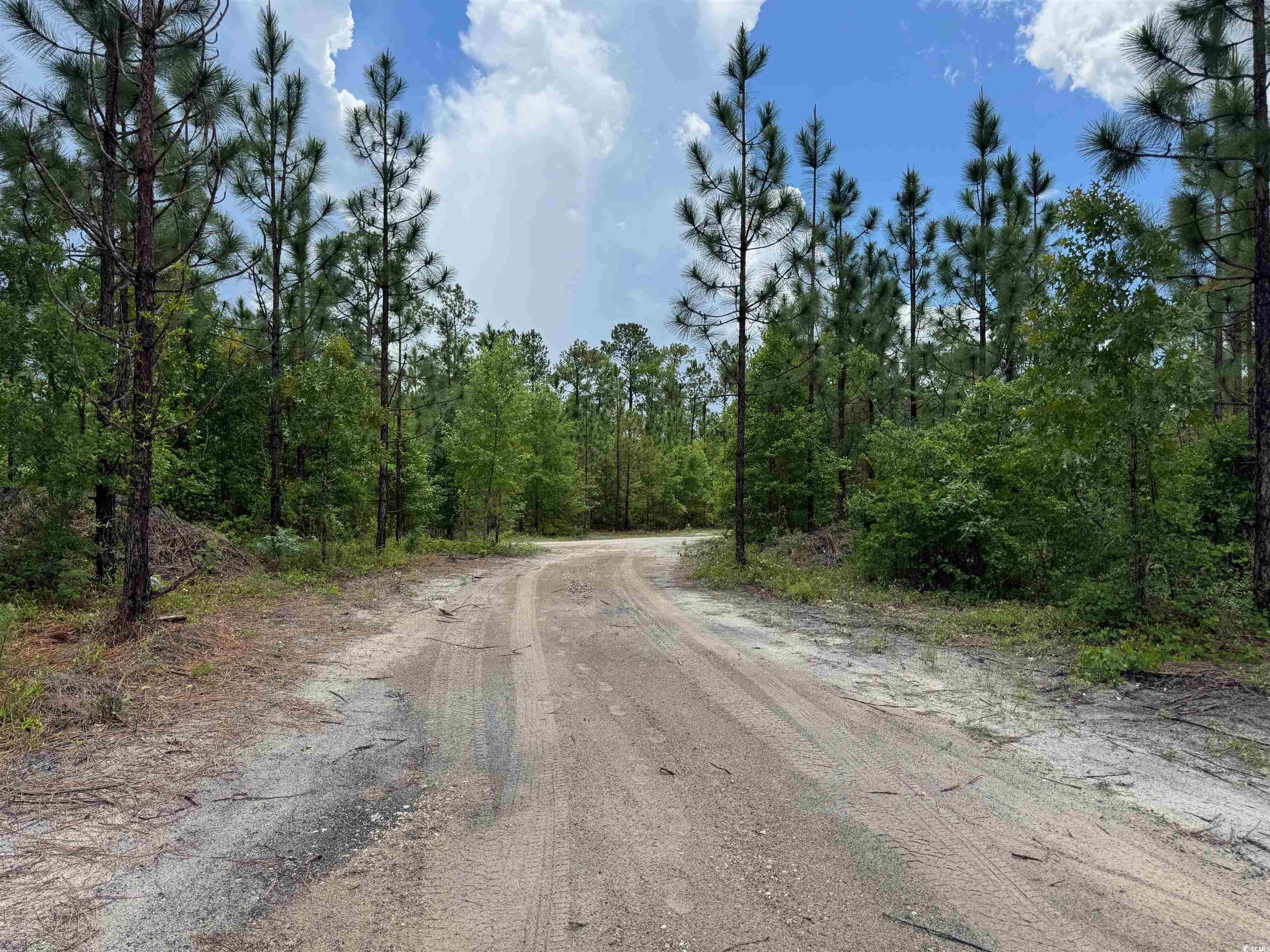 1698 Carriage Lane Loris, SC 29569 - Photo 5 of 25