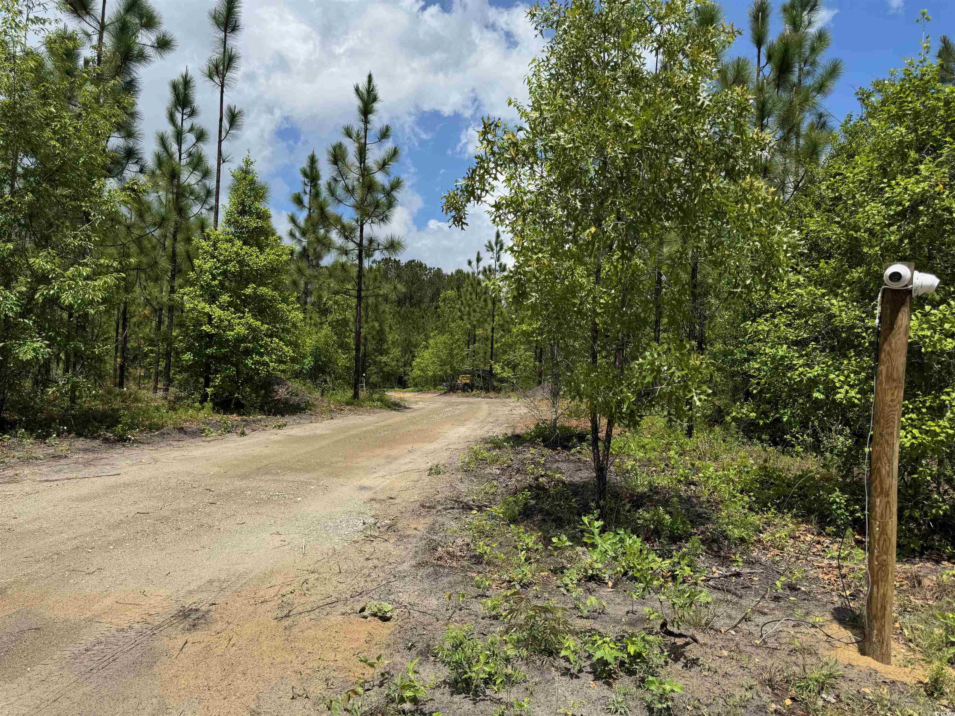 1698 Carriage Lane Loris, SC 29569 - Photo 6 of 25