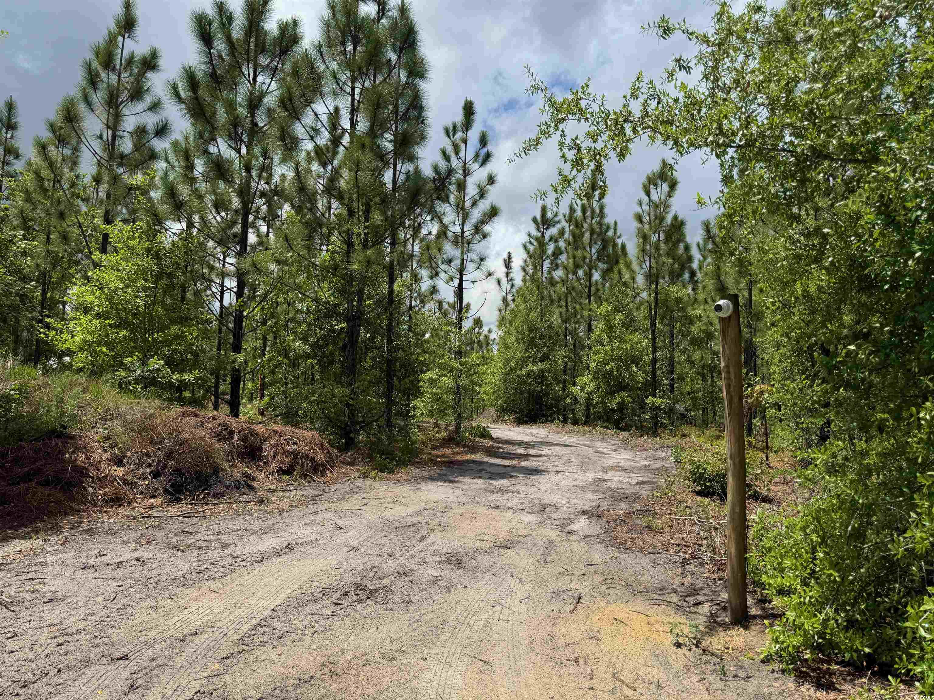1698 Carriage Lane Loris, SC 29569 - Photo 8 of 25
