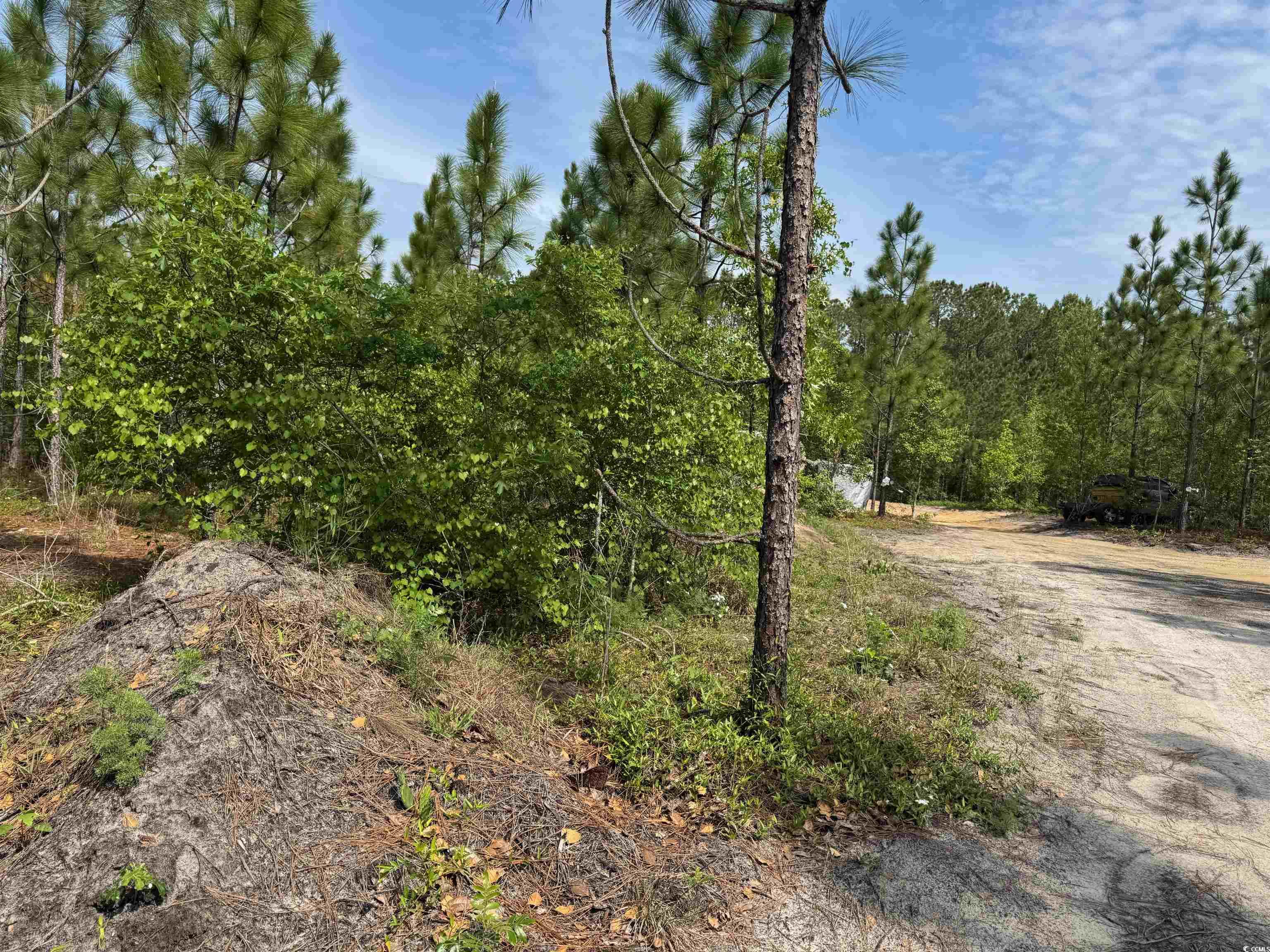 1698 Carriage Lane Loris, SC 29569 - Photo 9 of 25