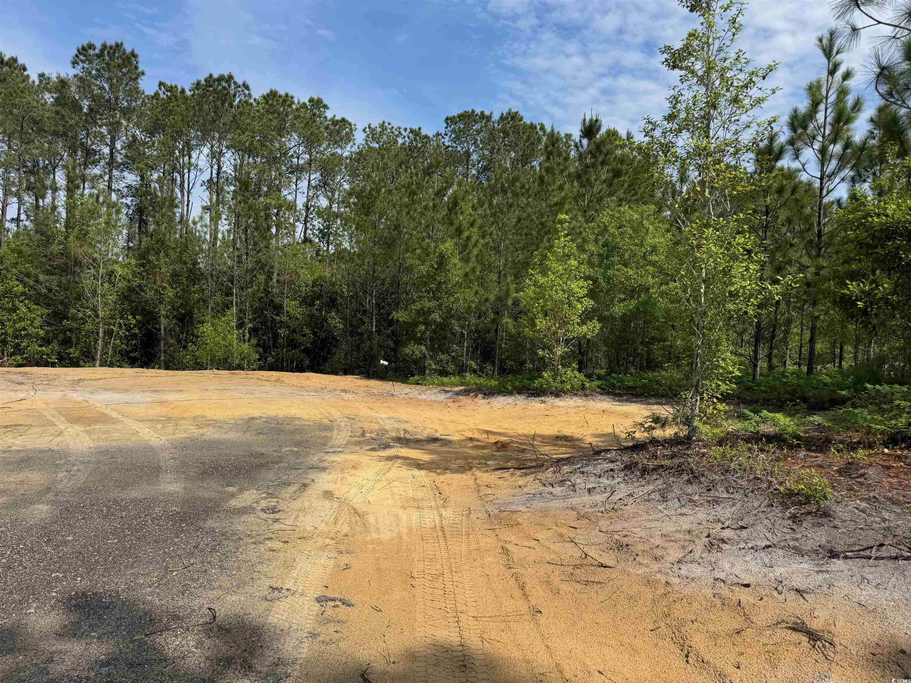 1698 Carriage Lane Loris, SC 29569 - Photo 10 of 25
