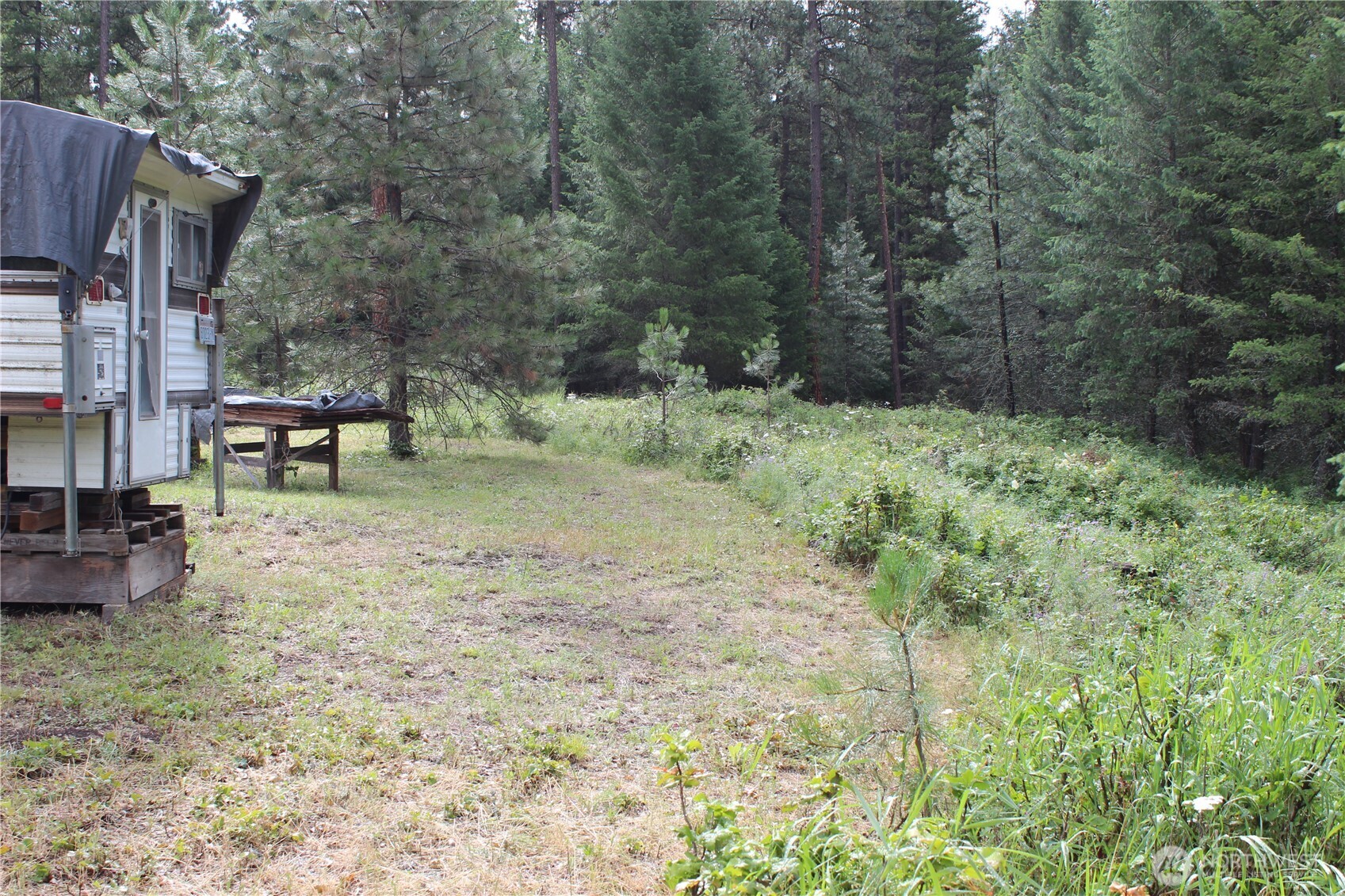 2514 Bridgeman-Rettinger Road Kettle Falls, WA 99141 - Photo 16 of 37 Gallery Image 16