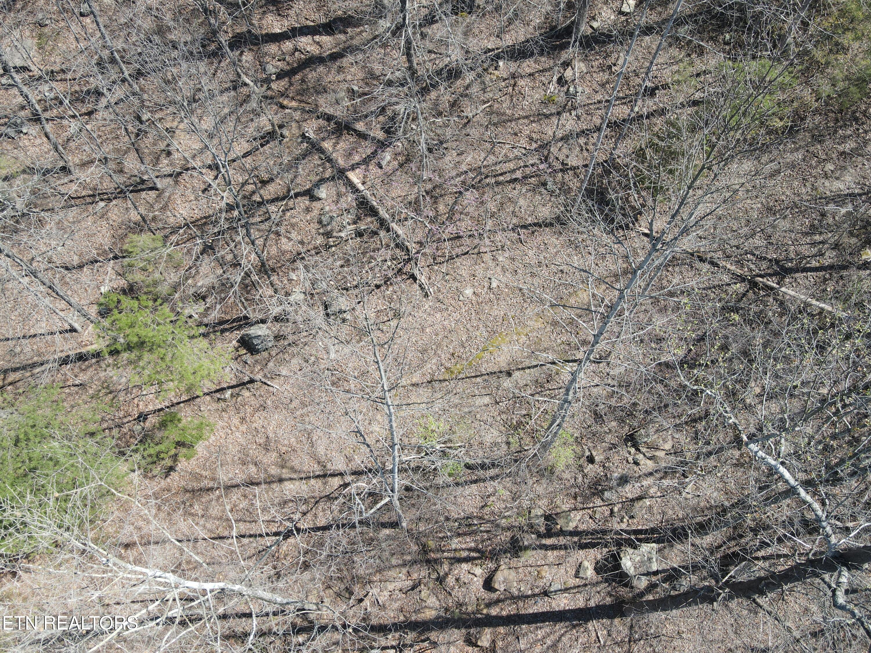 1295 Sussex Road Dayton, TN 37321 - Photo 13 of 21 DJI_0918