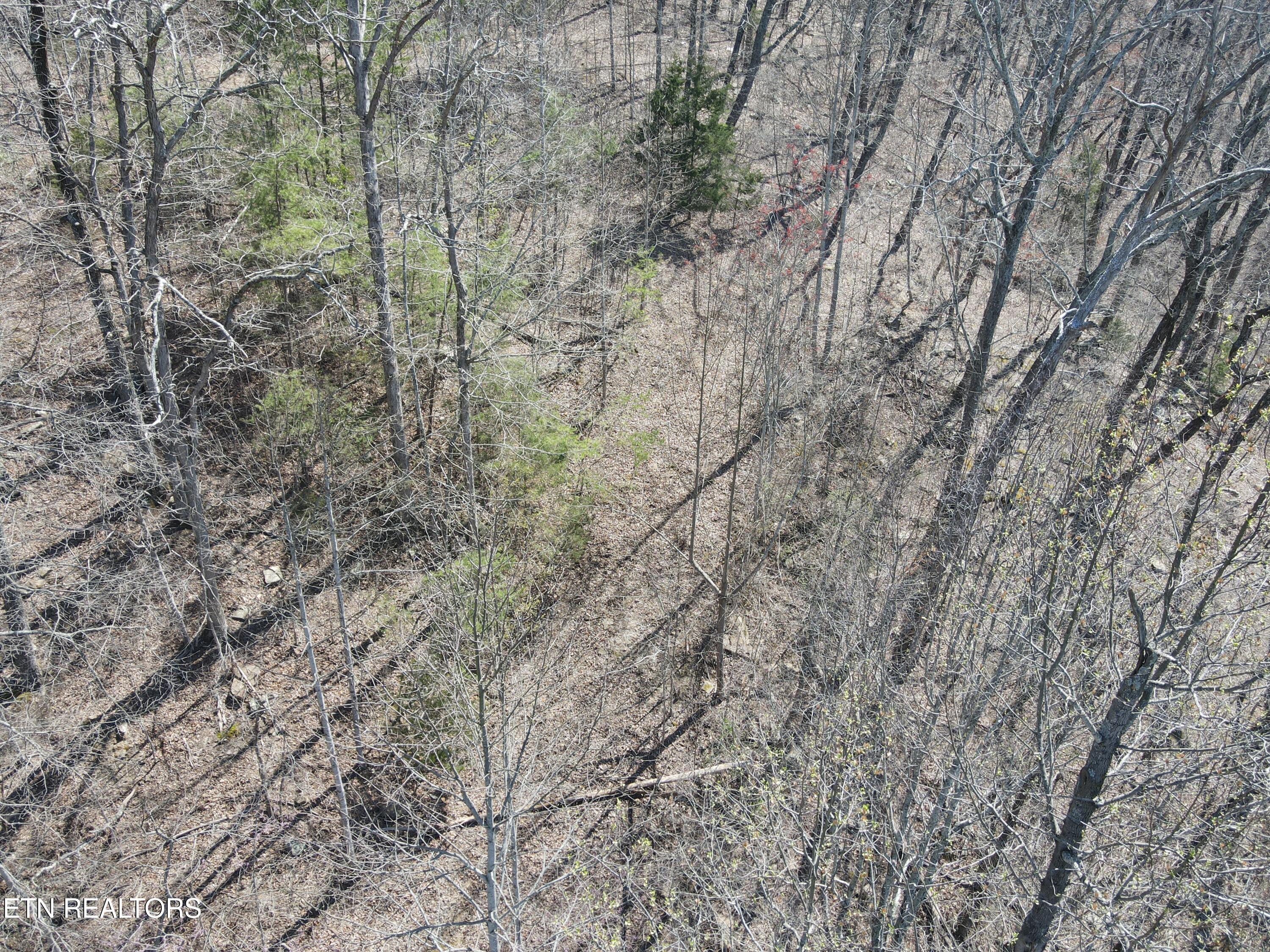 1295 Sussex Road Dayton, TN 37321 - Photo 14 of 21 DJI_0919