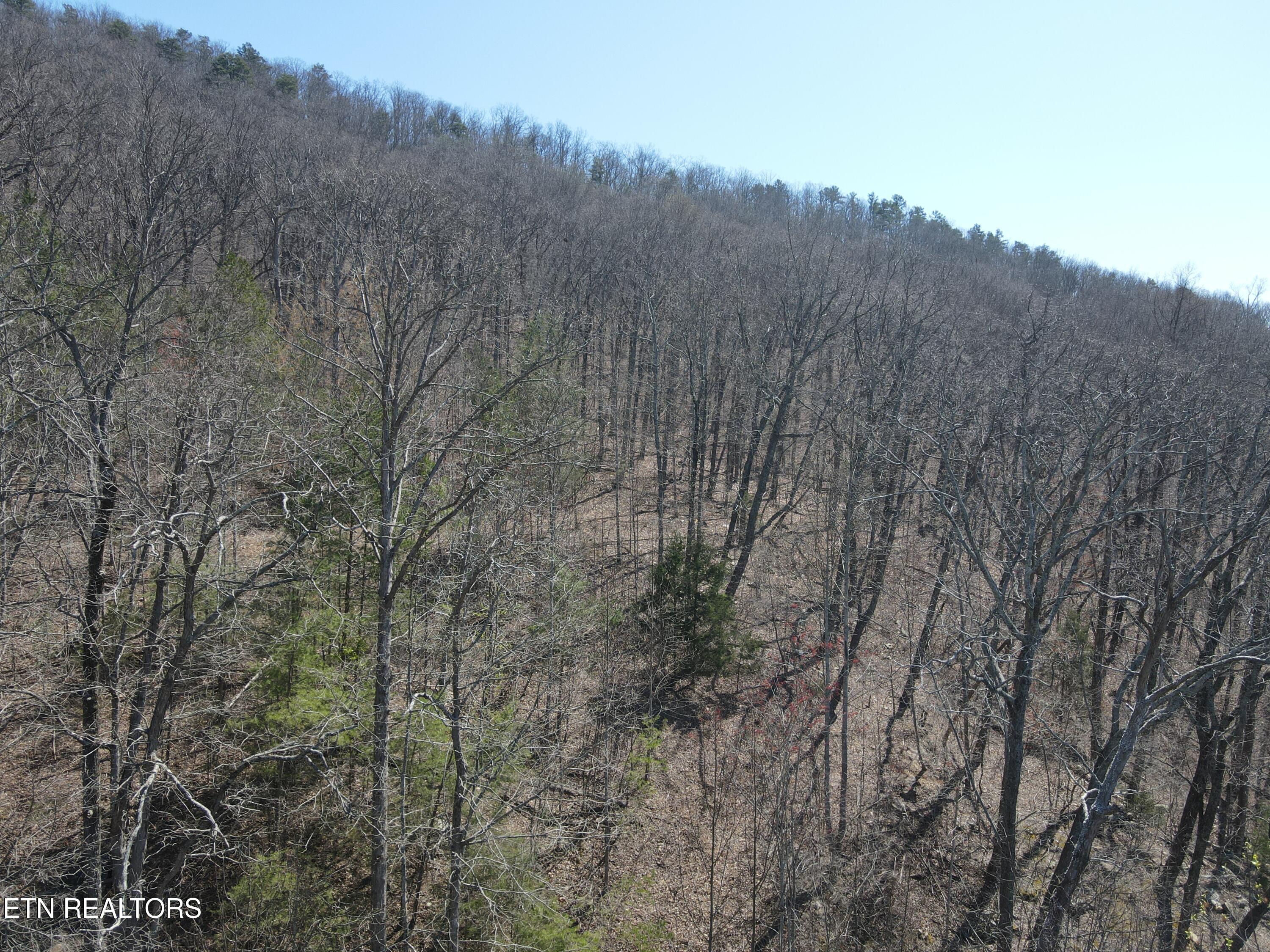 1295 Sussex Road Dayton, TN 37321 - Photo 15 of 21 DJI_0920